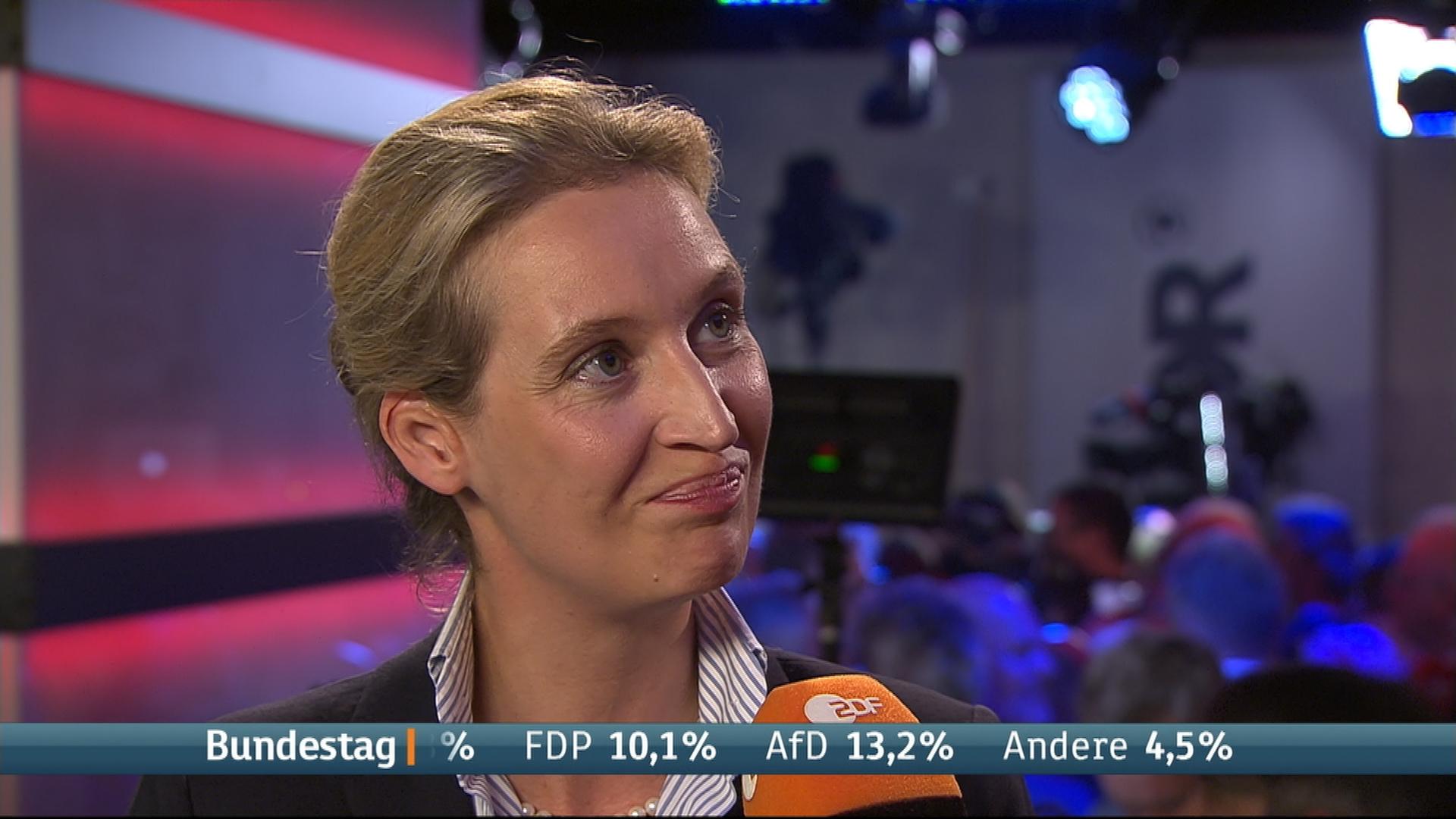 Alice Weidel Werden Oppositionsarbeit Machen Zdfheute