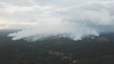 Heute In Deutschland - Heute - In Deutschland Vom 2. Juli 2019