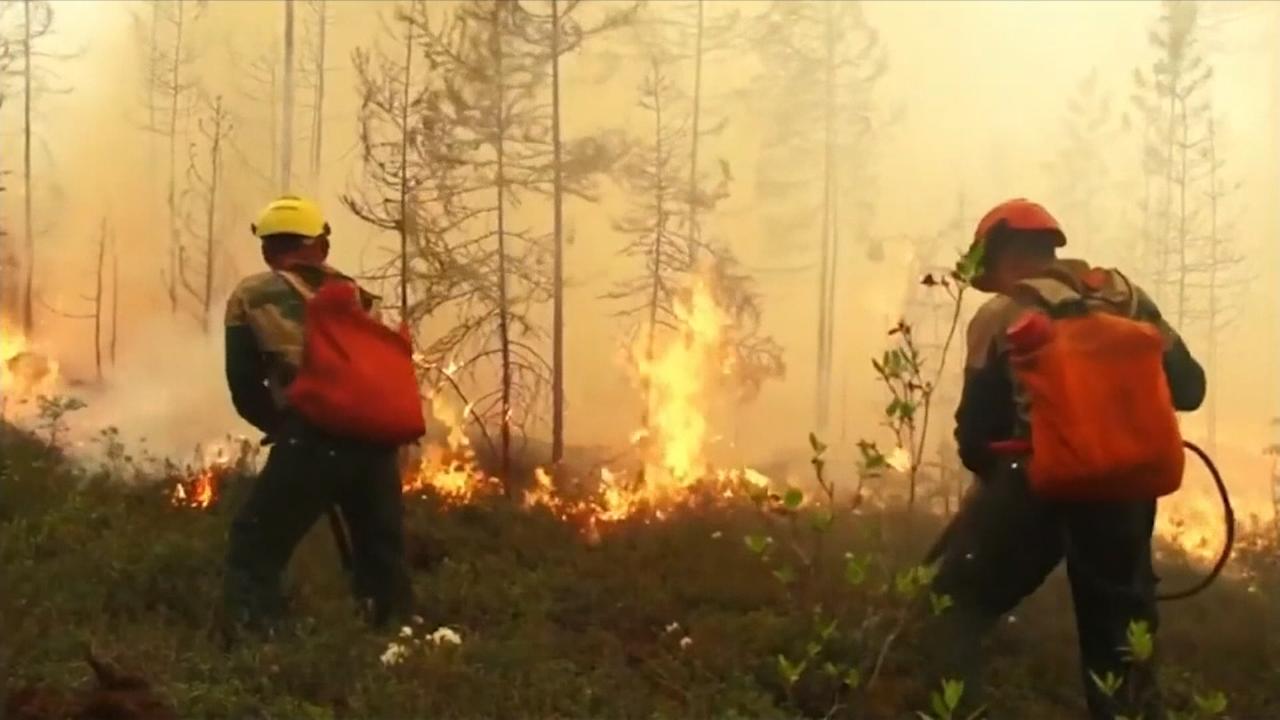 Лесной пожар в регионе. Лесные пожары в Якутии 2021. Пожары в Сибири 2021. Лесные пожары в Сибири 2021 год. Пожары лесов в России 2021.