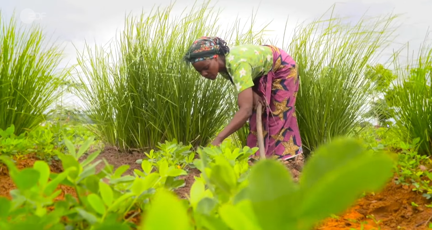 Eine Landwirtin, die im Rahmen eines von der UN unterstützten Programms in besonderen Anbaumethoden geschult ist, bei der Arbeit auf dem Feld
