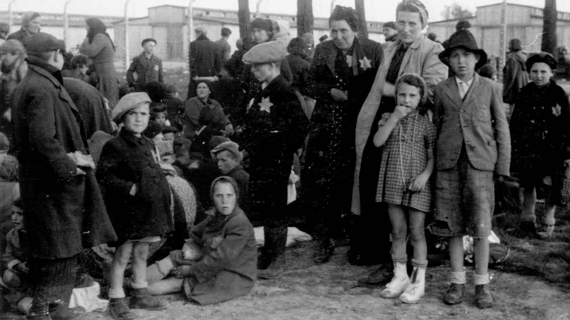 KZ Auschwitz-Birkenau - Im Hintergrund hinter dem Zaun: Kanada. 