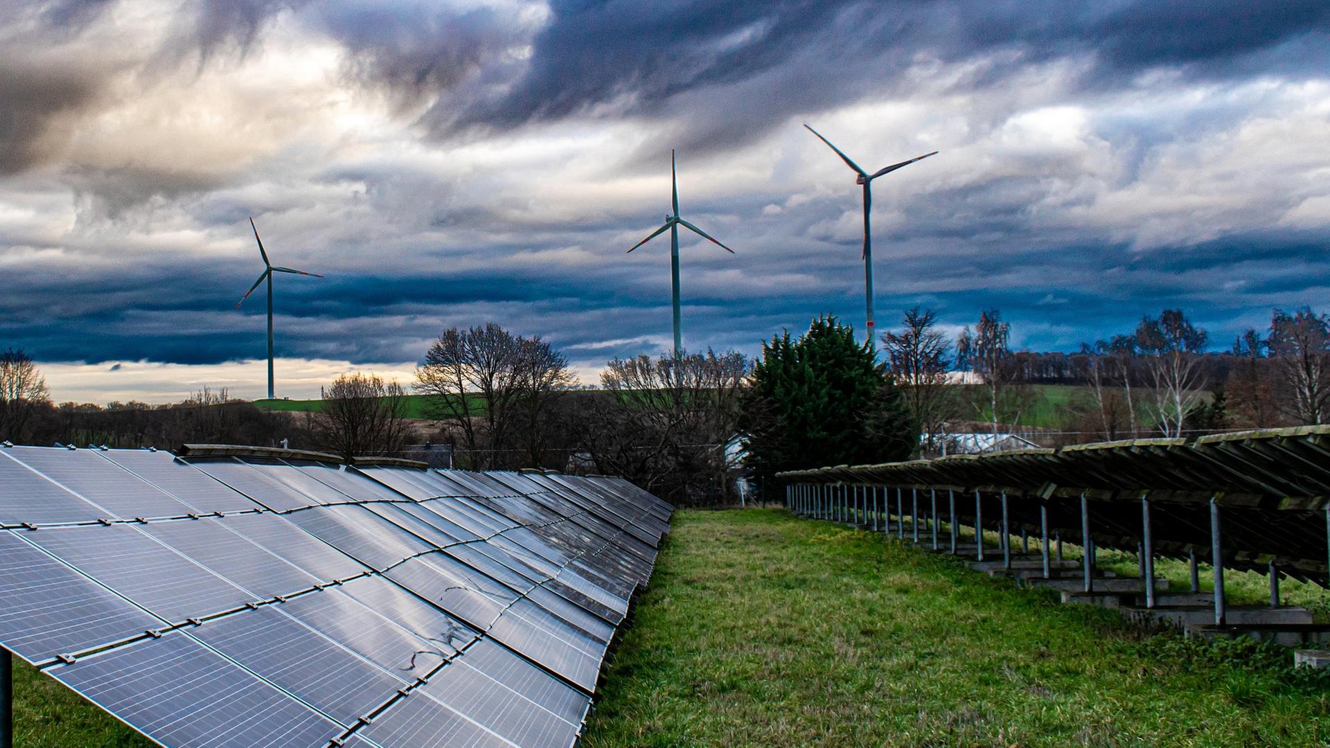 Solarpanel auf einem Feld, im HIntergrund Windräder