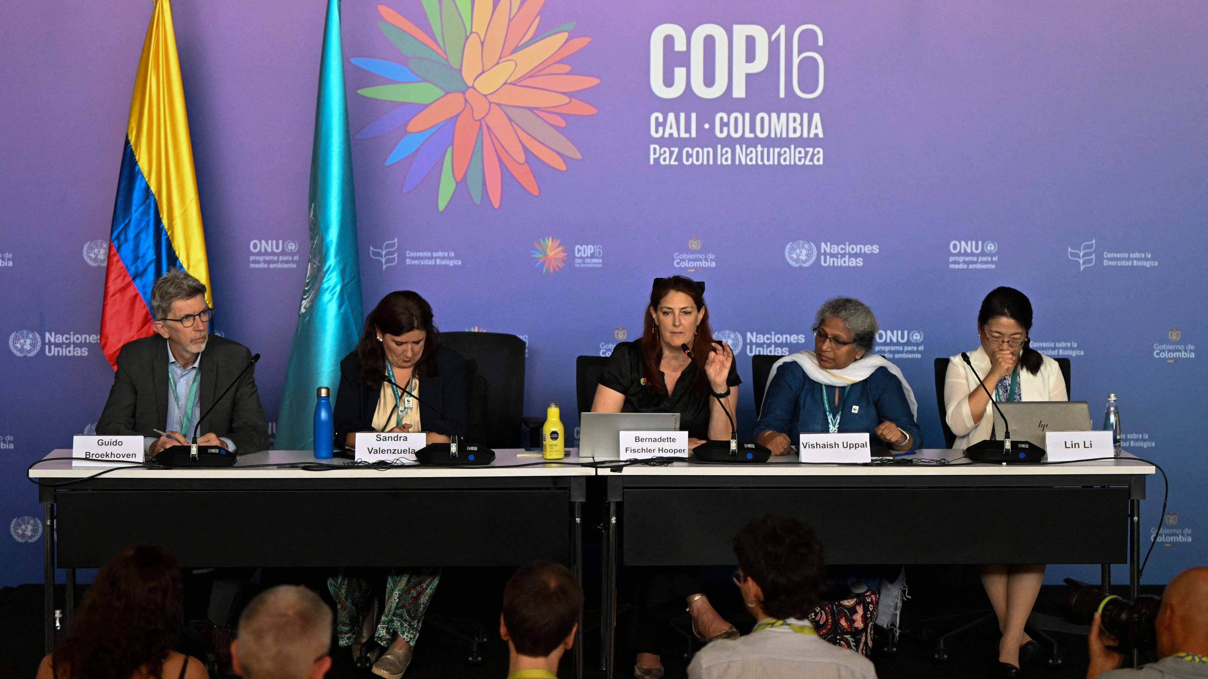 Bernadette Fischler, Leiterin der internationalen Advocacy-Abteilung des WWF, gibt eine Pressekonferenz während des COP16-Gipfels in Cali, Kolumbien, am 21. Oktober 2024. 