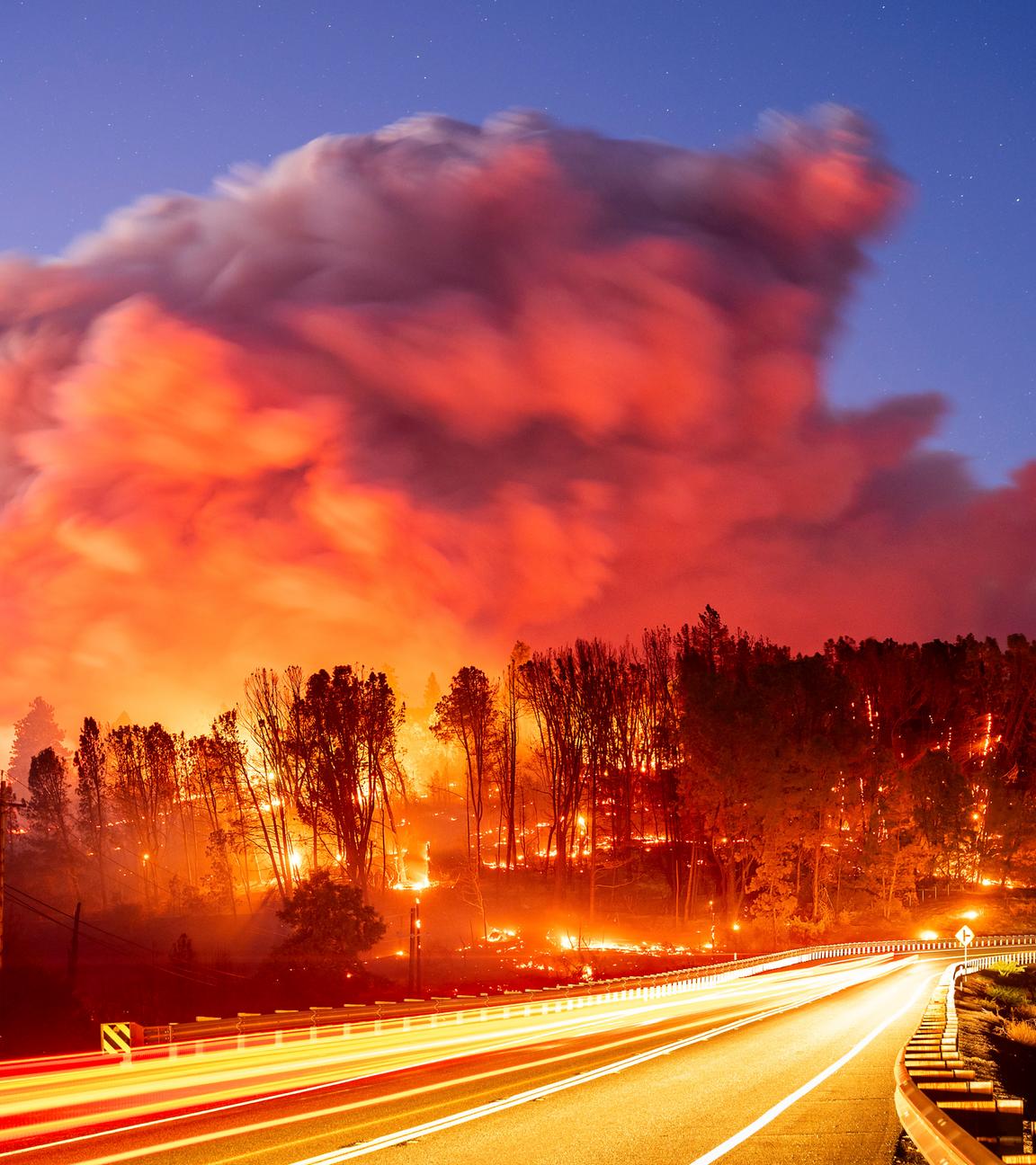 Waldbrände in den USA - Kalifornien