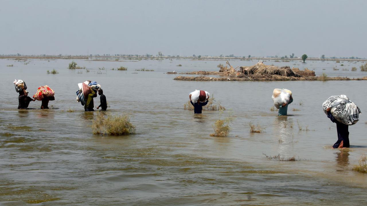 NANO Vom 16. Januar 2024: Klimawandel Kostet Menschenleben - ZDFmediathek