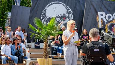 Zdf-fernsehgarten - Rock Im Garten