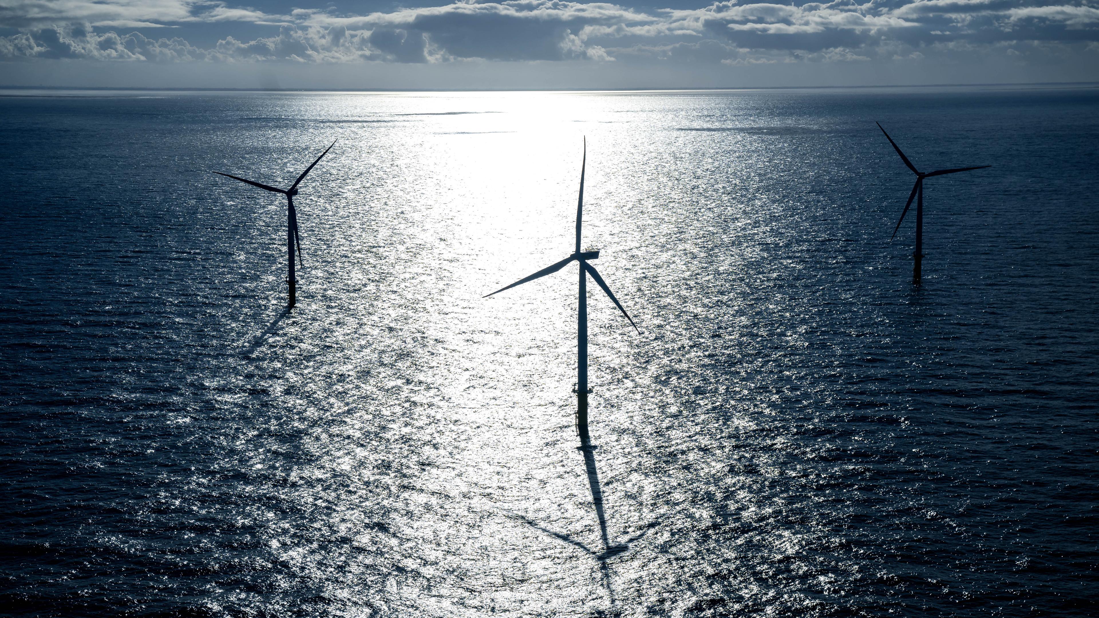 Windpark im Meer