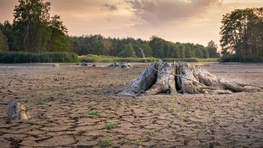 Nano - Immer Mehr Land Wird Zum Dürregebiet