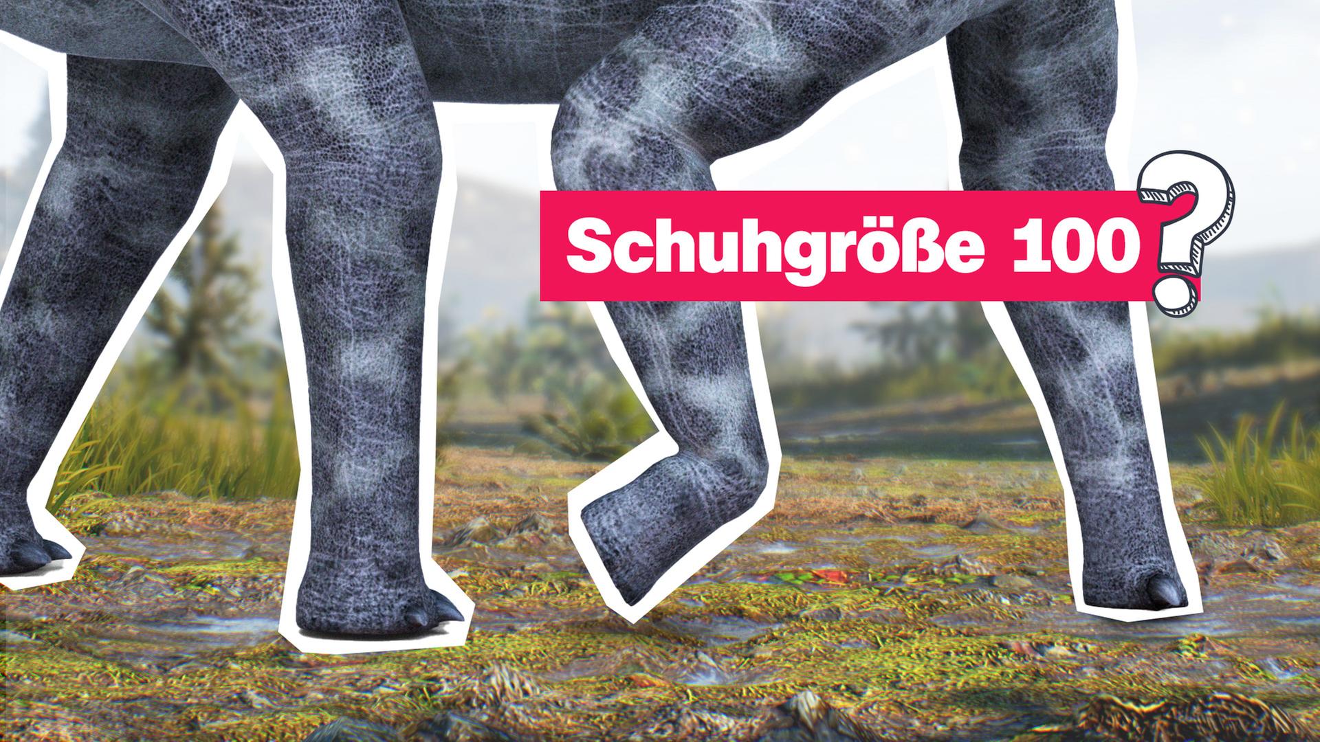 große Dinosaurierbeine 