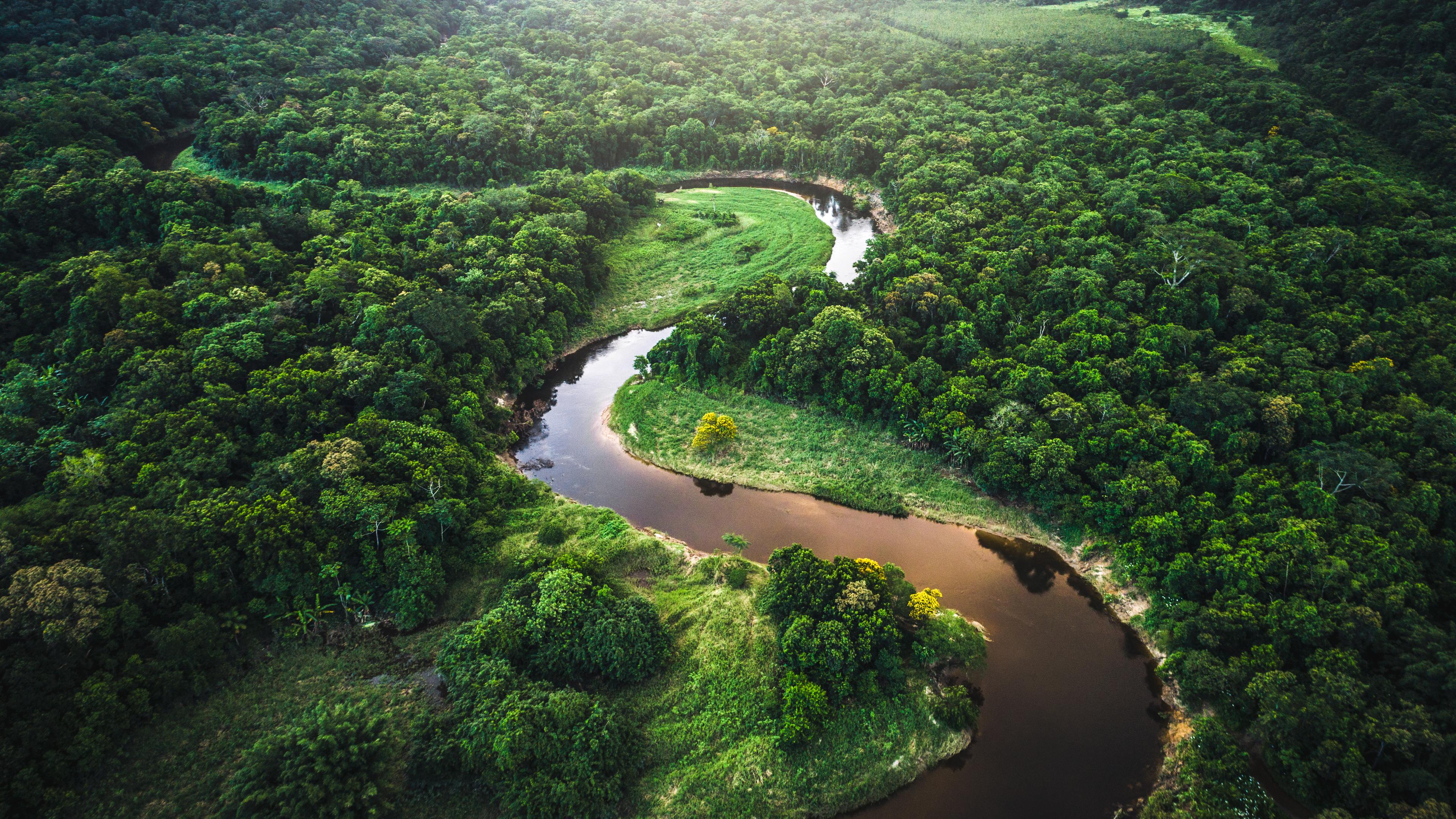 Der Flusslauf des Amazonas schlängelt sich durch ein von Regenwald bewachsenes Tal in Brasilien