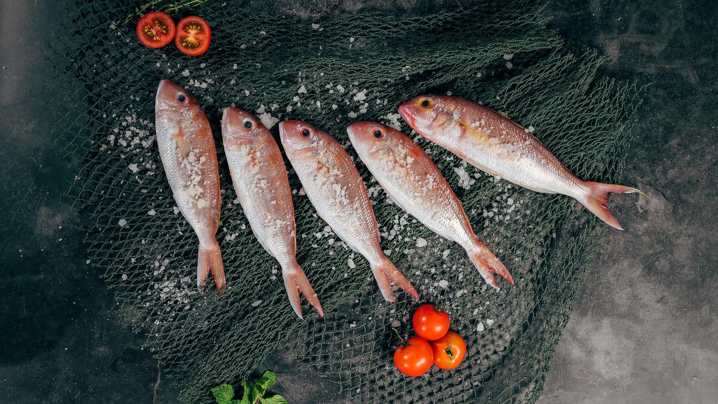 Amerikanische Rolle mit deutschem Schieber? - FISCH & FANG