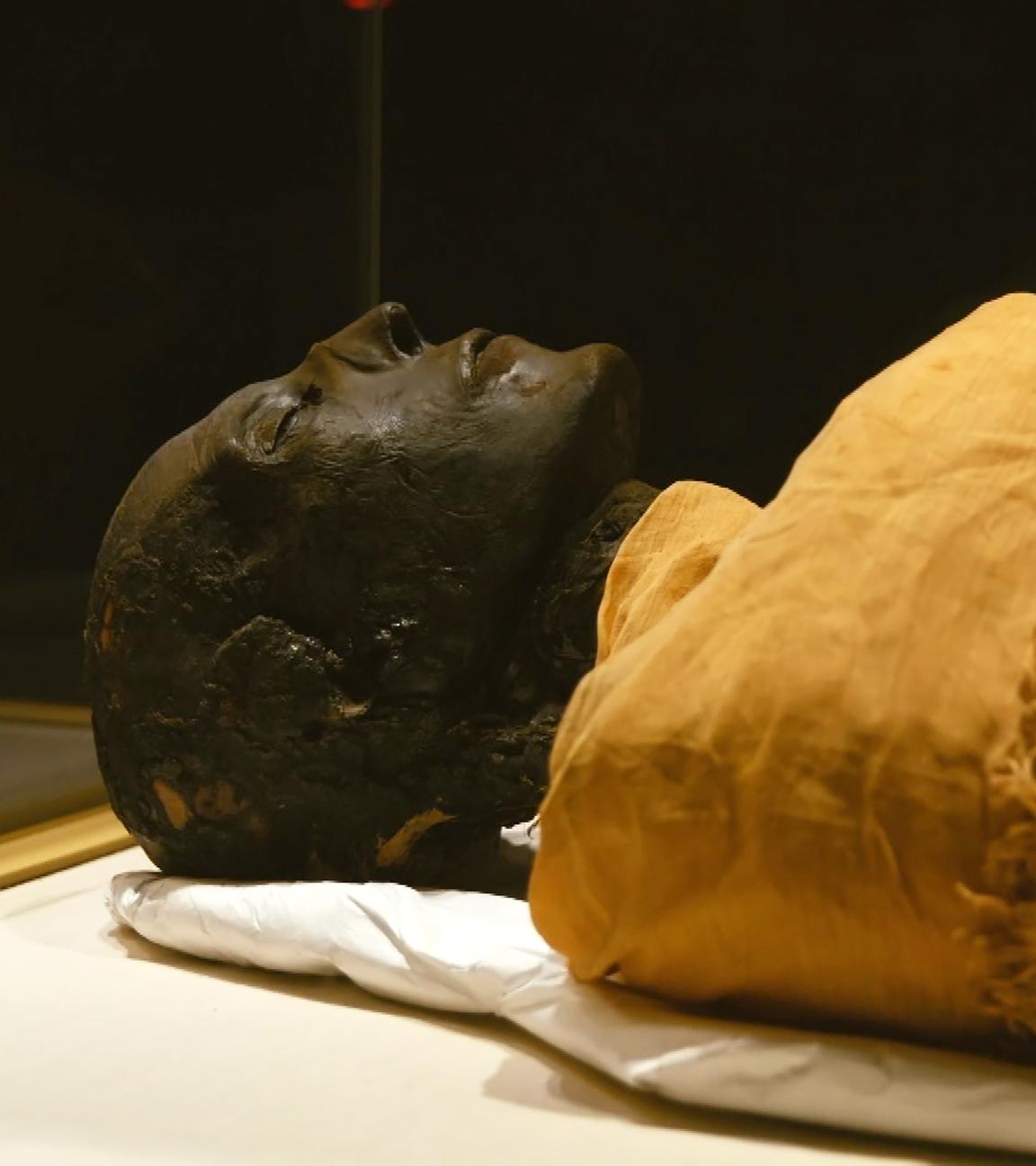 EIne Mumie liegt auf einem hellen Untergrund. Der Kopf ist ausgewickelt, schwarz und sehr gut erhalten. Die geschlossenen Augen, die Nase und die Lippen treten deutlich hervor. Vom Hals abwärts ist der Körper durch ein beige-braunes Leinen verdeckt.