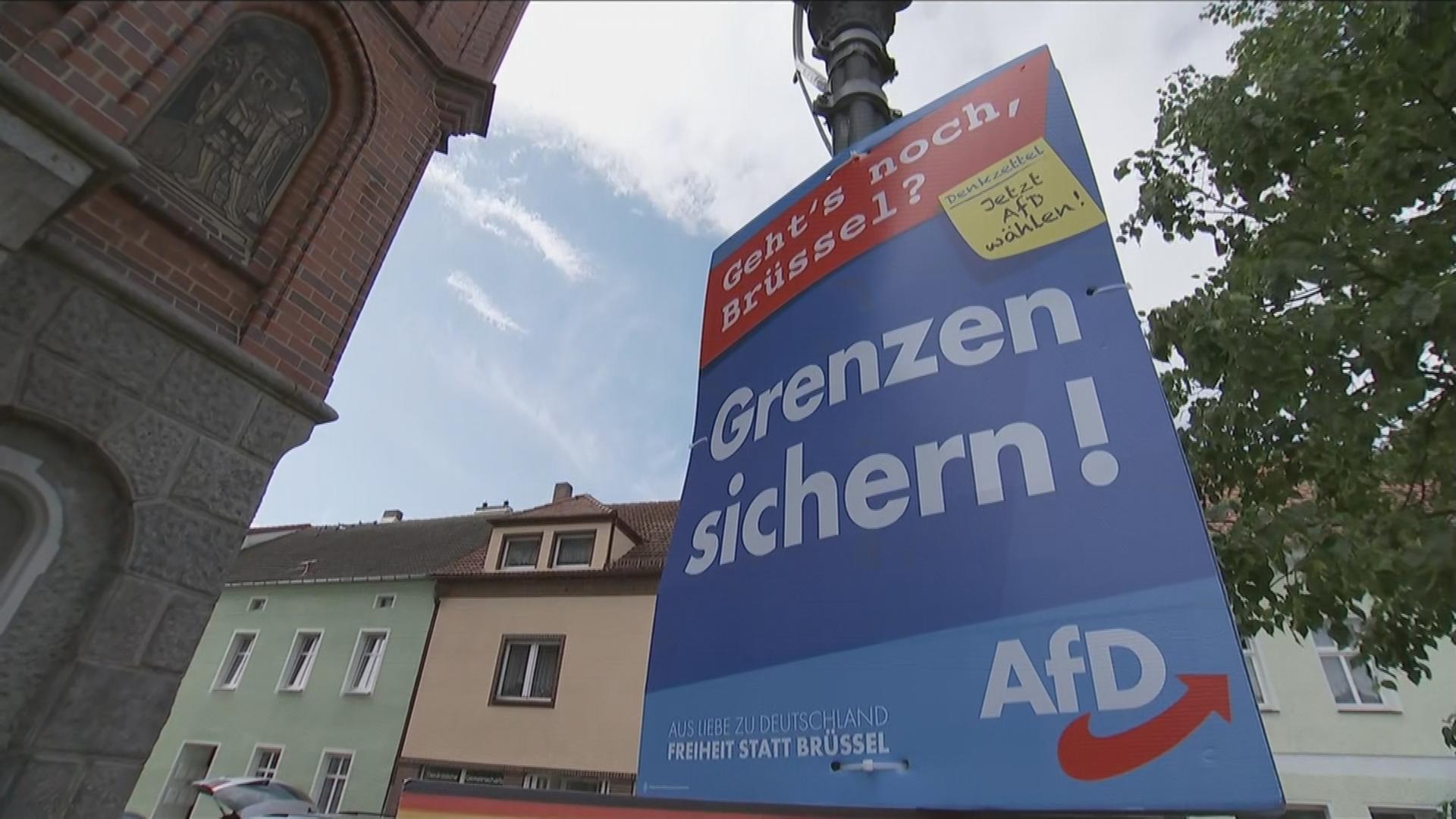Europawahl In Deutschland Wahlergebnisse Die Aufhorchen Lassen Zdfheute