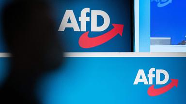 Wird das AfD-Verbot Thema im Bundestag?