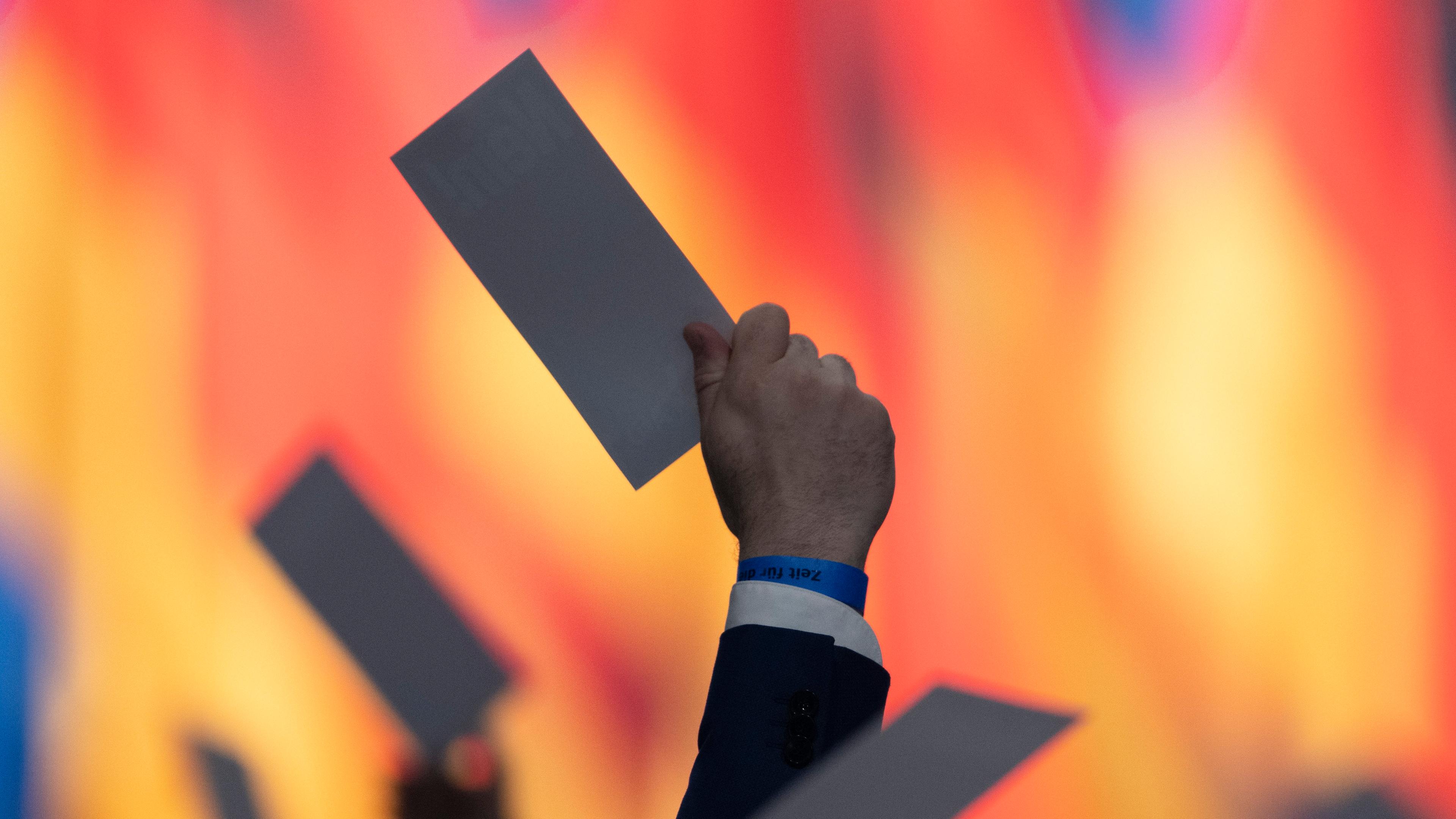 Abstimmung auf Parteitag der AfD