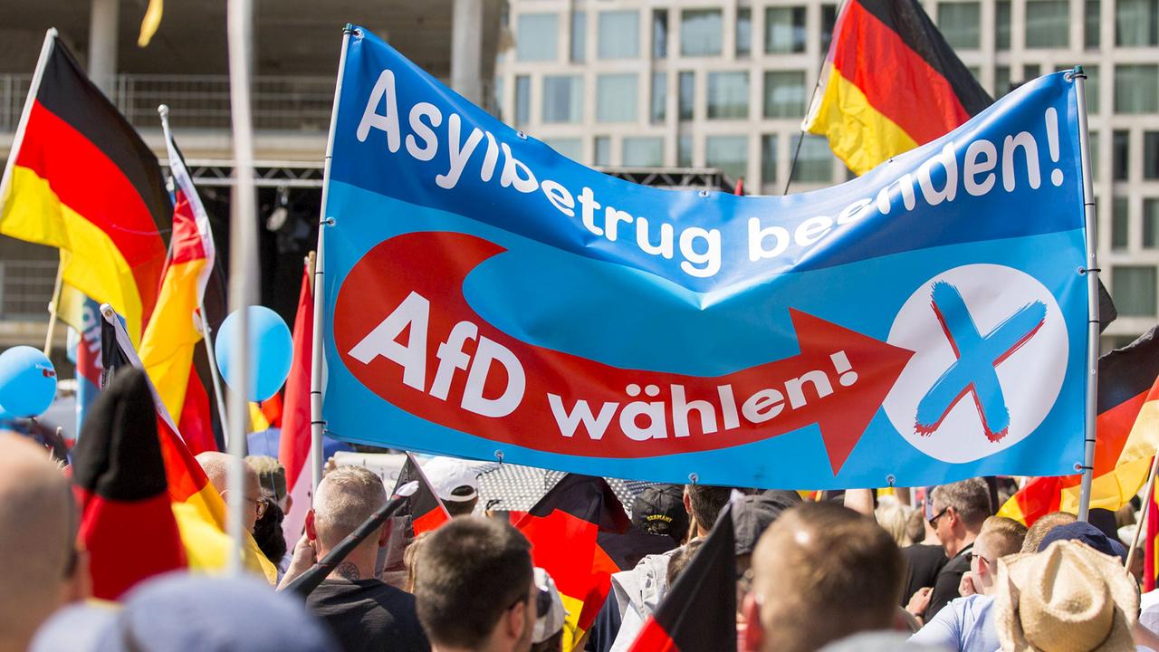 AfD: Die Partei Der "kleinen Leute"? - ZDFmediathek