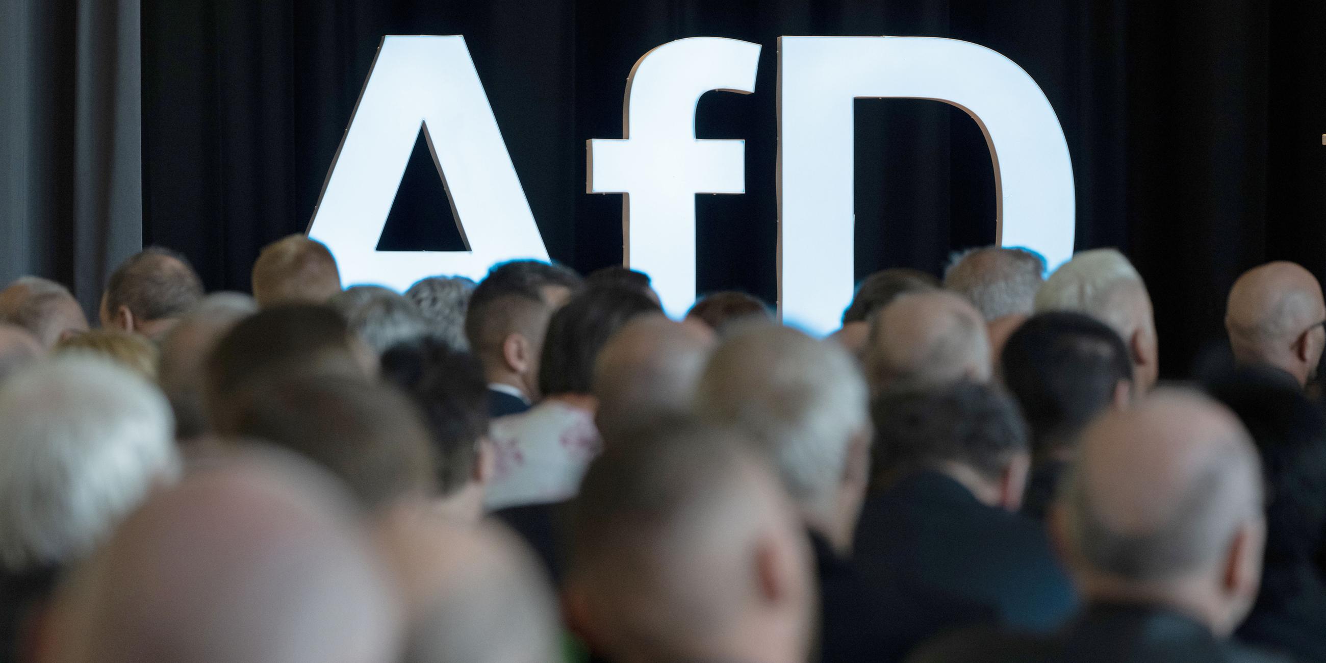 Delegierte vor AfD-Logo