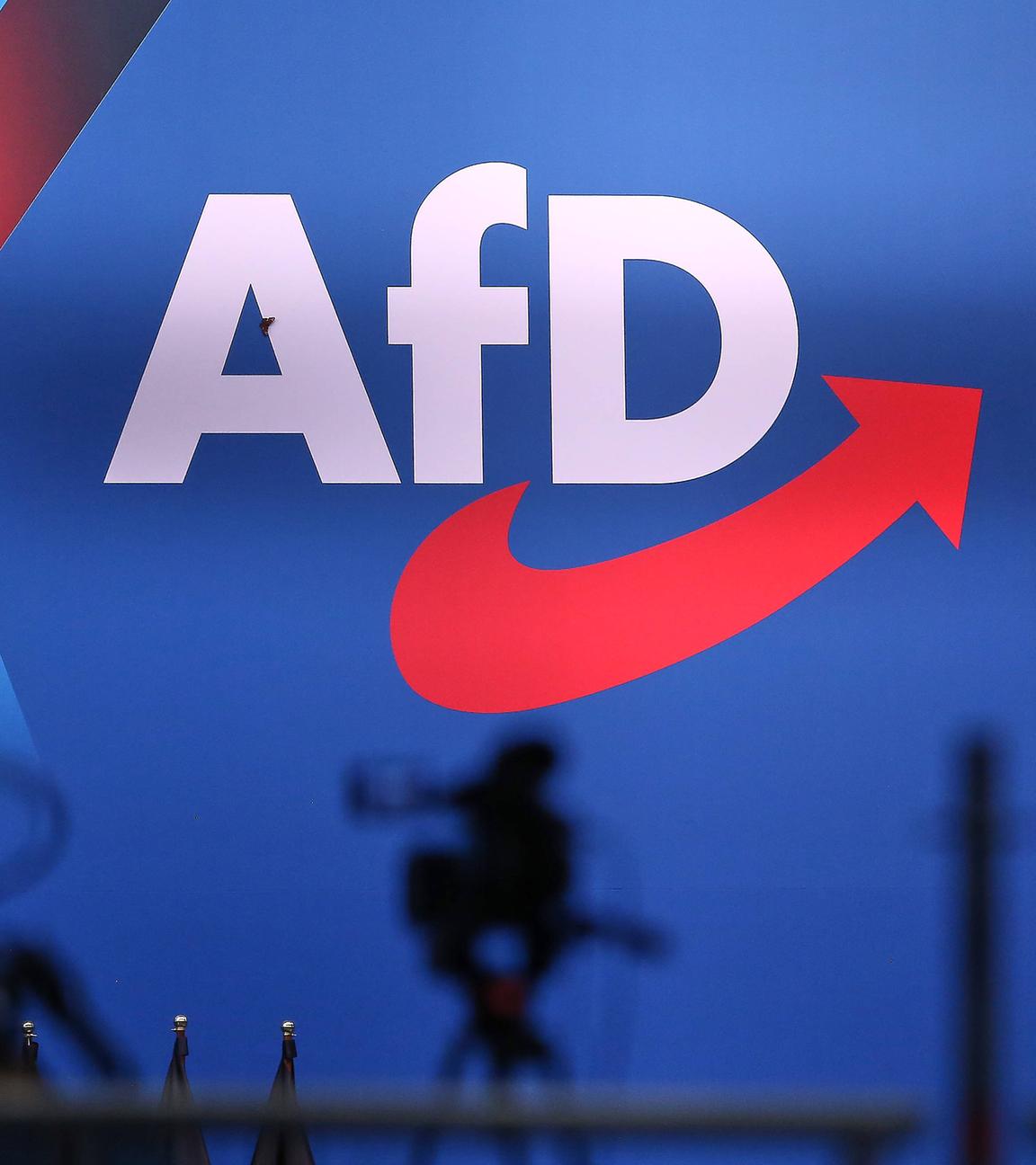 AfD-Logo, aufgenommen am 11.01.2025 in Riesa (Sachsen)