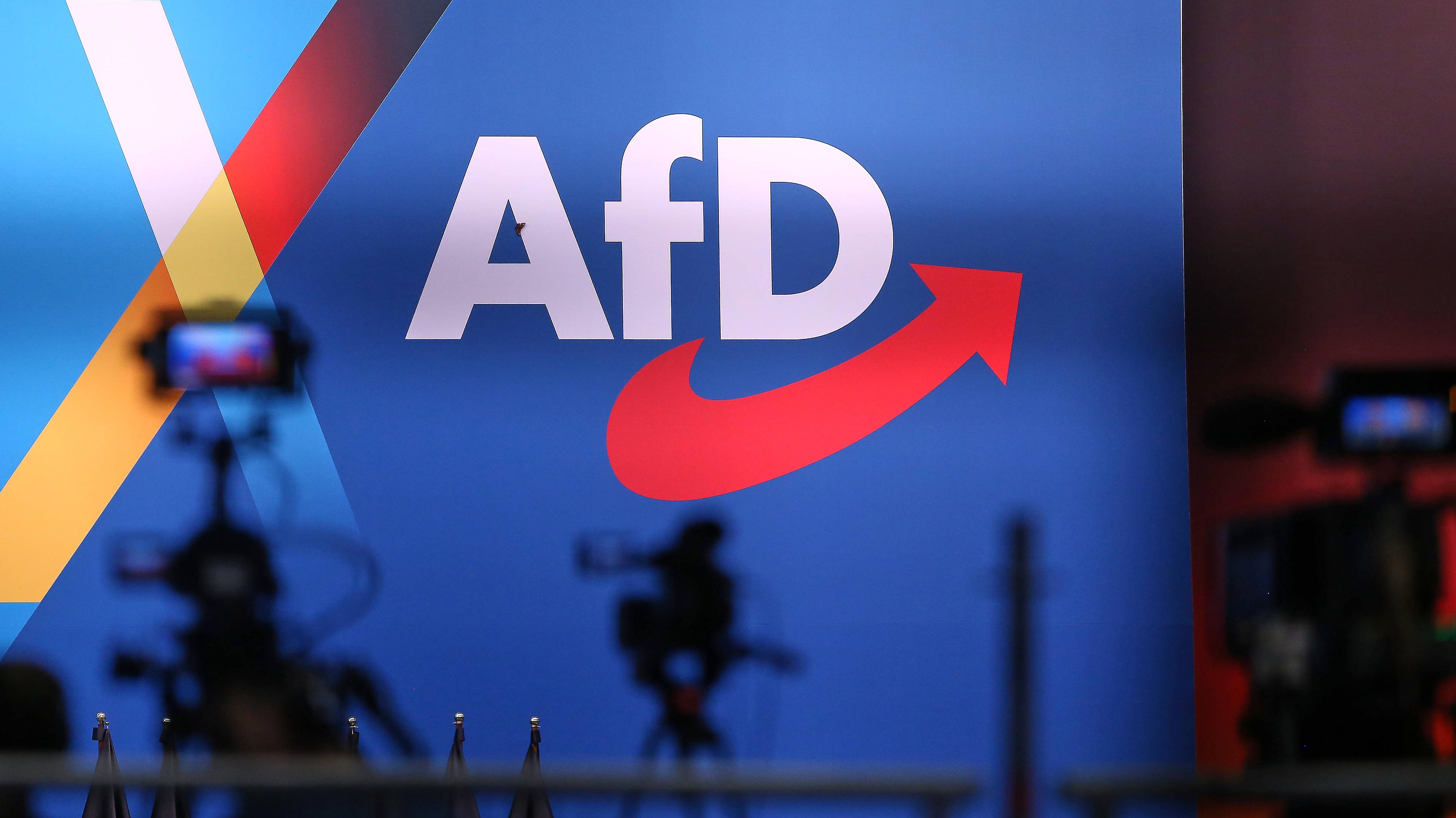 AfD-Logo, aufgenommen am 11.01.2025 in Riesa (Sachsen)