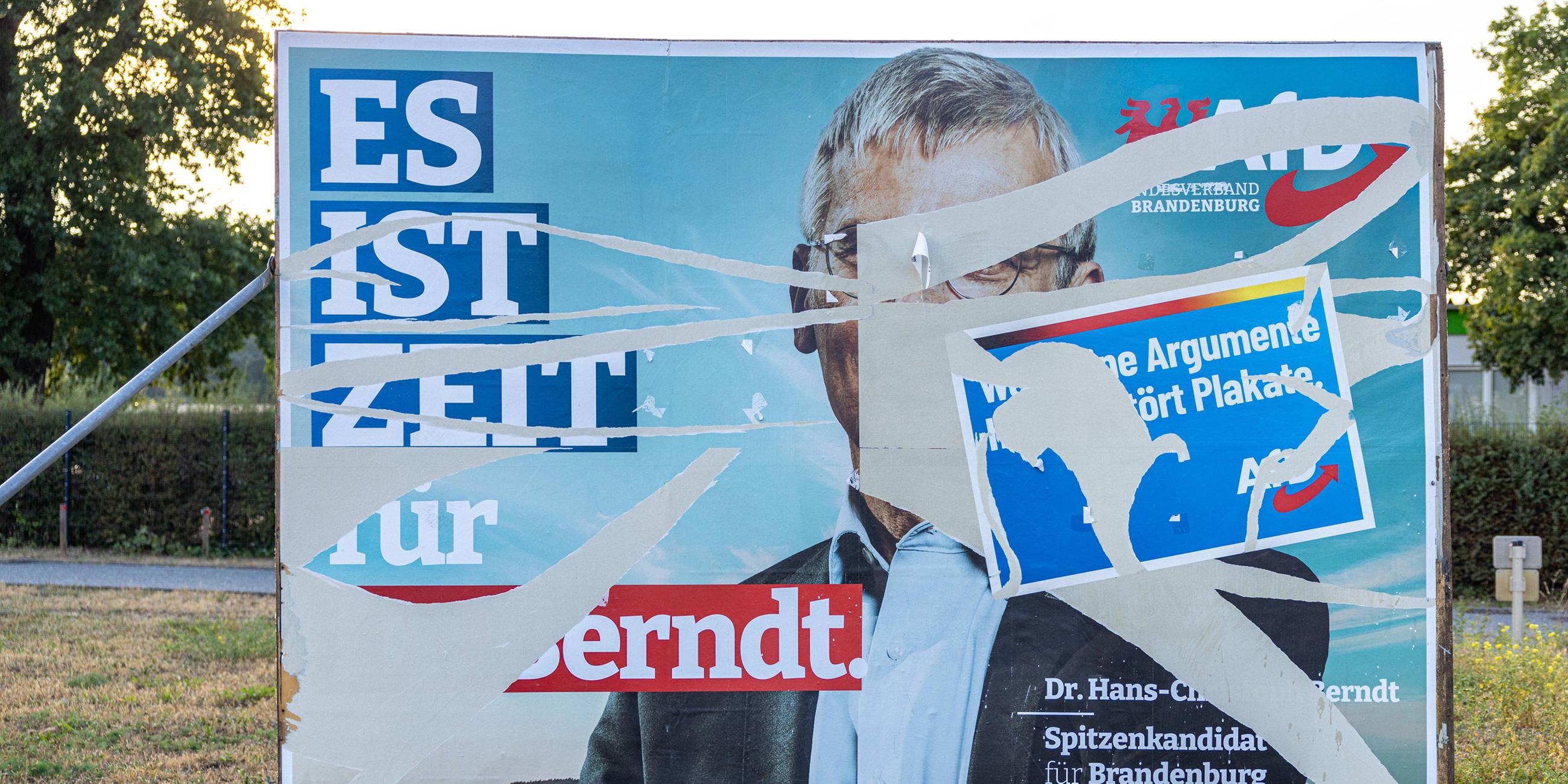 Ein zerissenes Wahlplakat der AfD