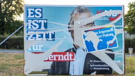 A zero-vote poster from the AfD