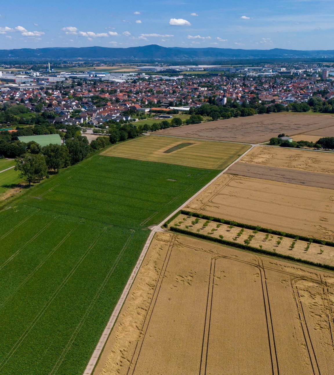 Biebesheim am Rhein: Blick auf die Gemeinde im südhessischen Kreis Groß-Gerau mit der Bergstraße im Hintergrund.