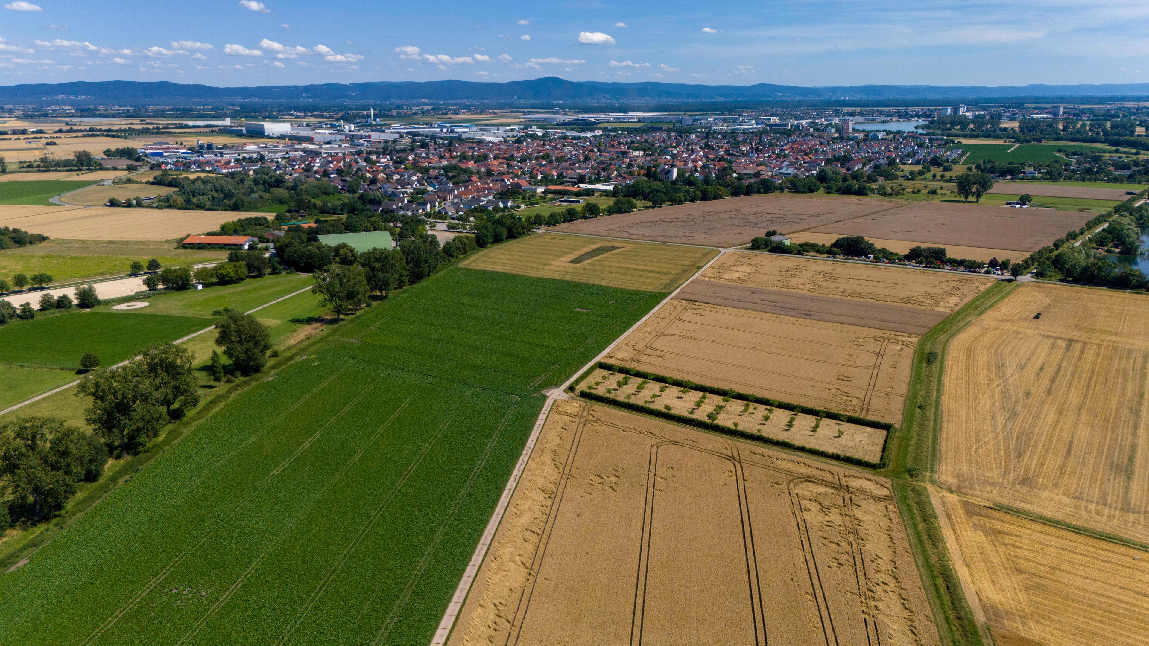 Biebesheim am Rhein: Blick auf die Gemeinde im südhessischen Kreis Groß-Gerau mit der Bergstraße im Hintergrund.