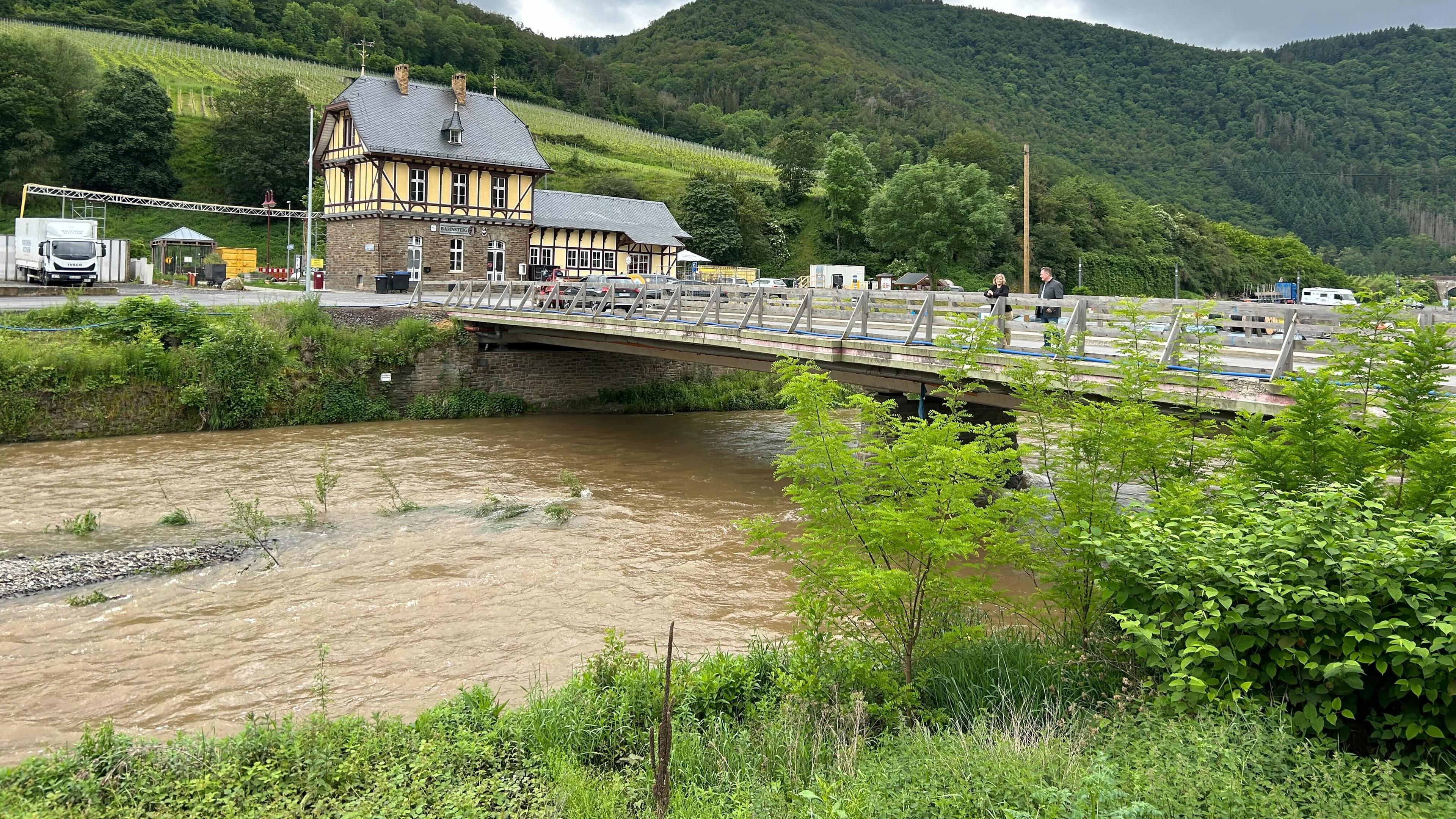 Das Ahrtal mit höherem Wasserstand, Wiesen