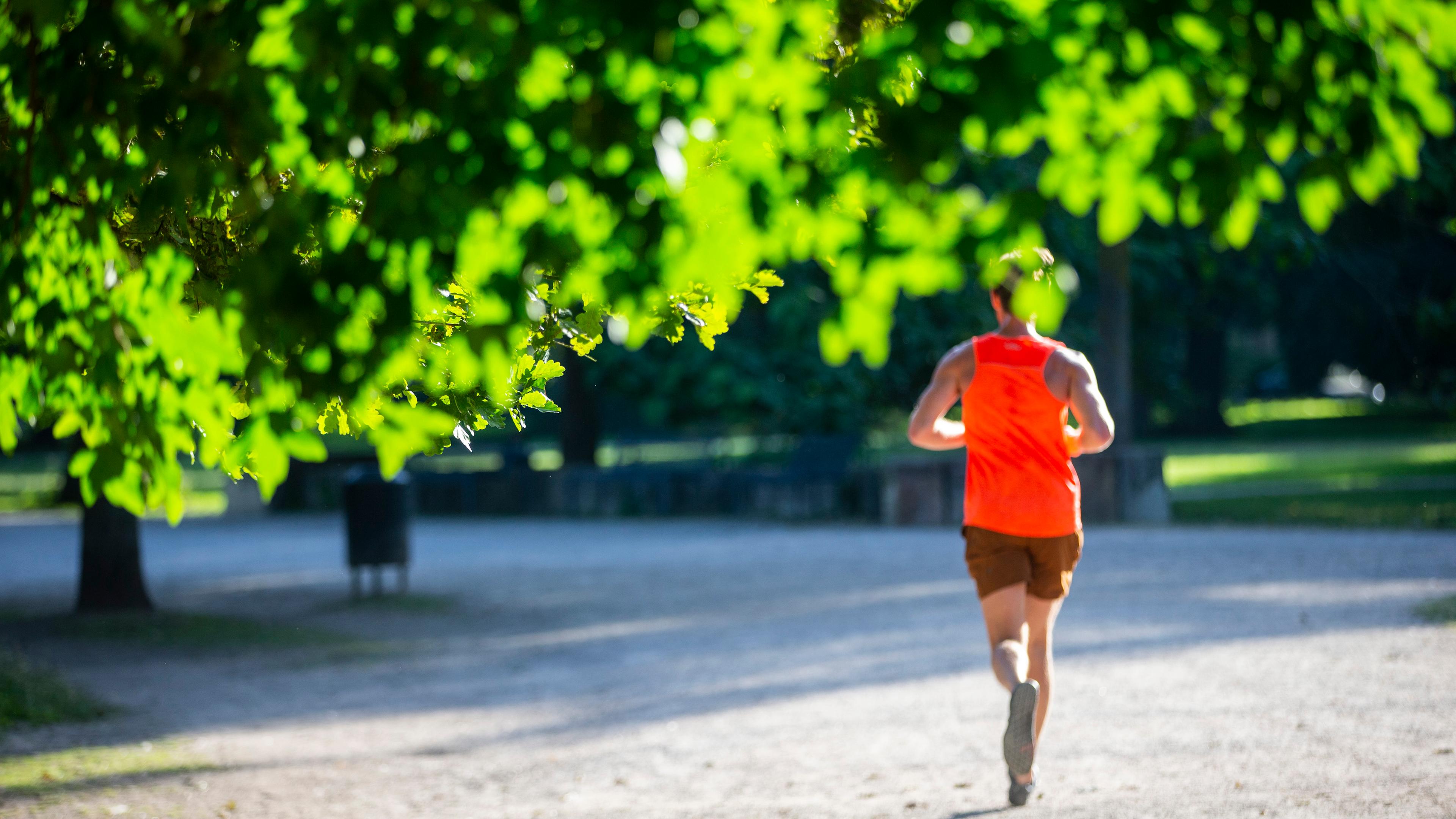 Mann joggt im Kölner Stadtwald 