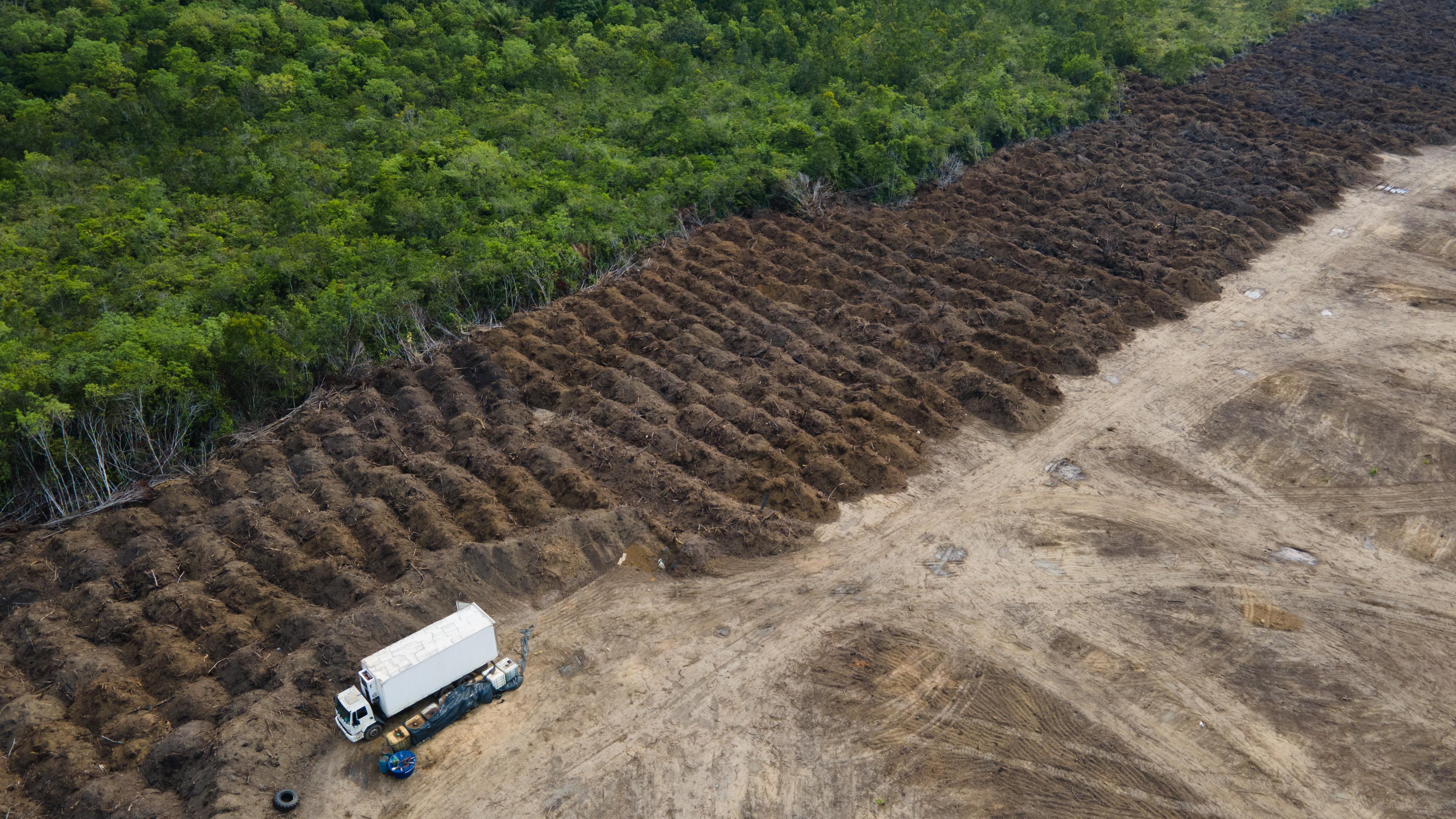 Lastwagen steht in einem abgeholzten Gebiet des Amazonas 