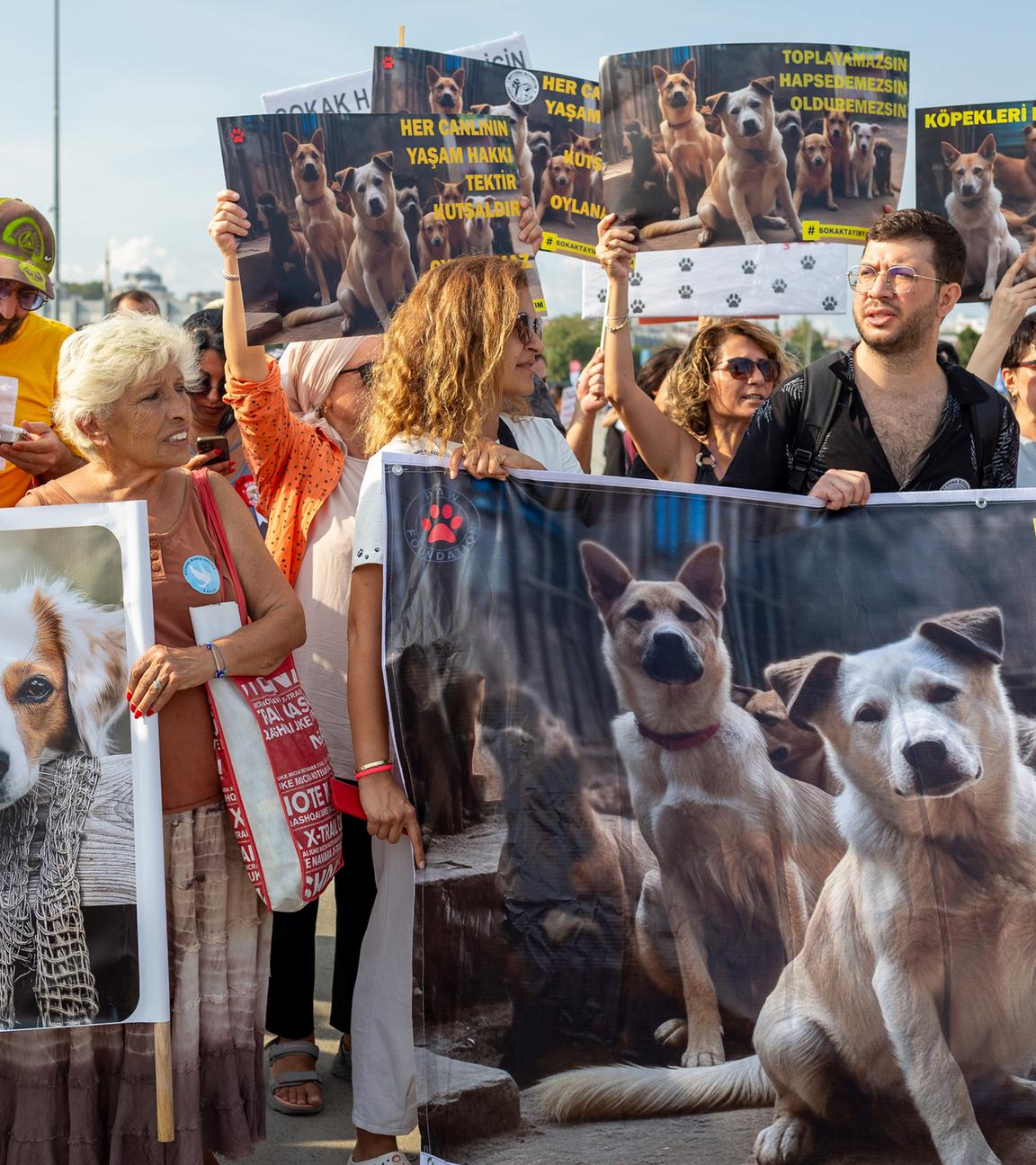 Tierschützer protestierten in Istanbul