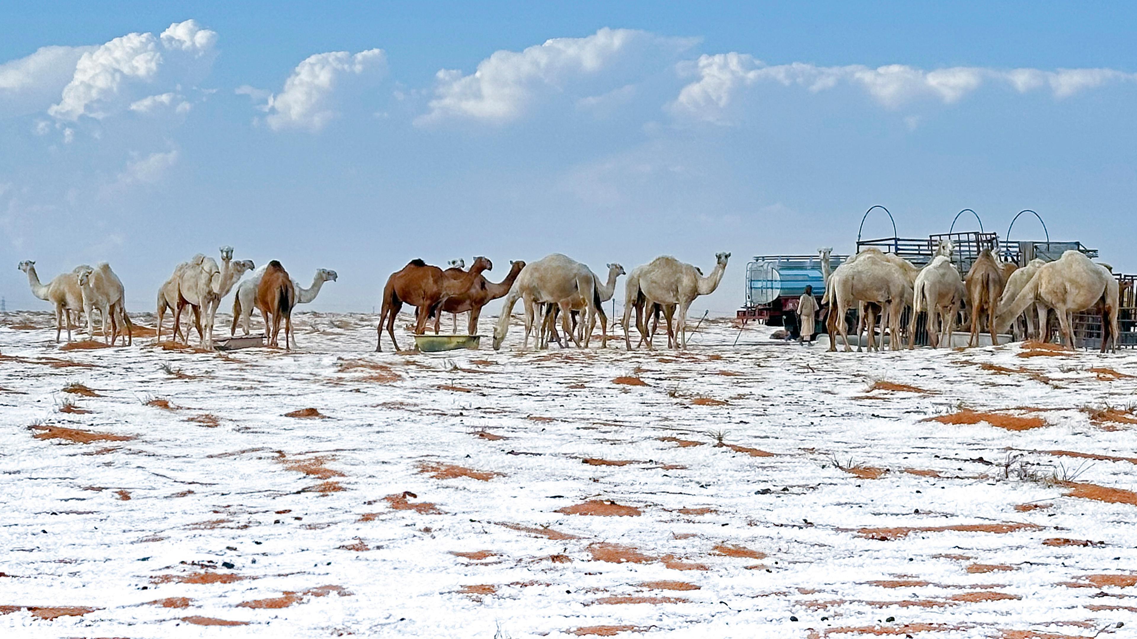 Schnee in Saudi-Arabien