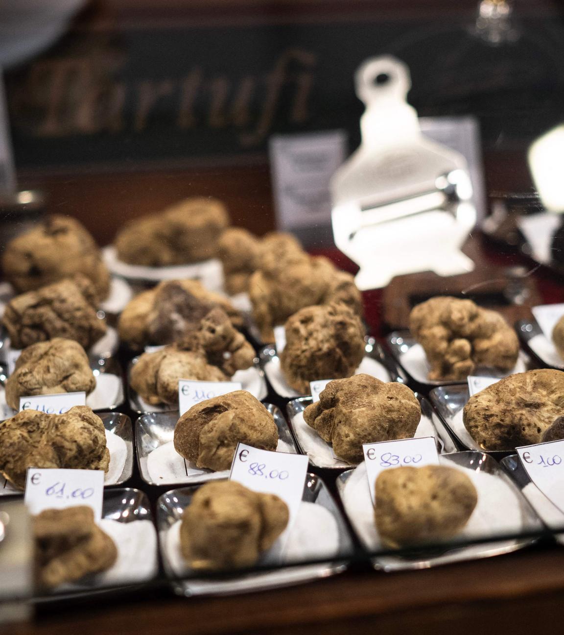 ITALY-AGRICULTURE-ECONOMY-TRUFFLE-FAIR