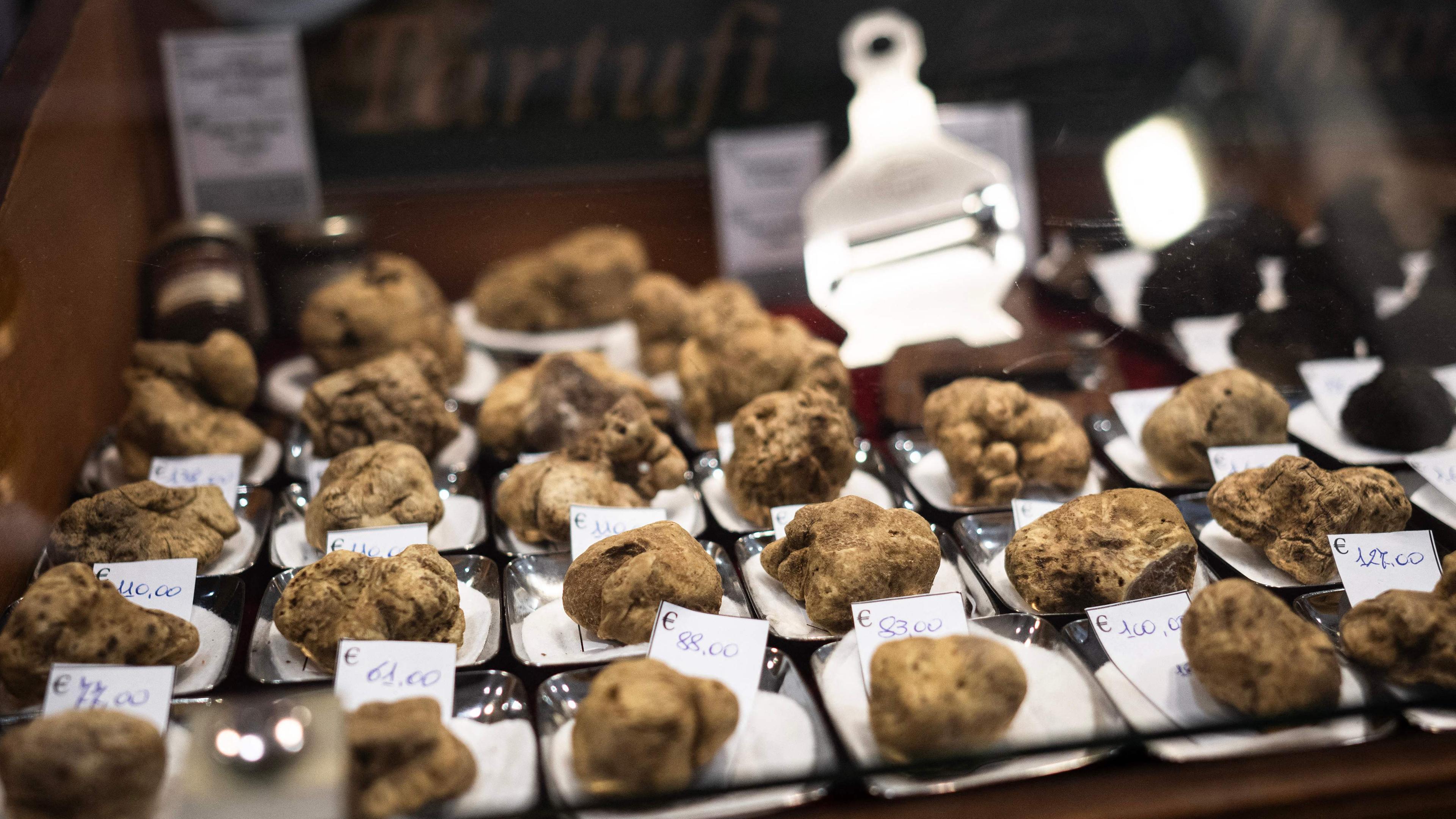 ITALY-AGRICULTURE-ECONOMY-TRUFFLE-FAIR