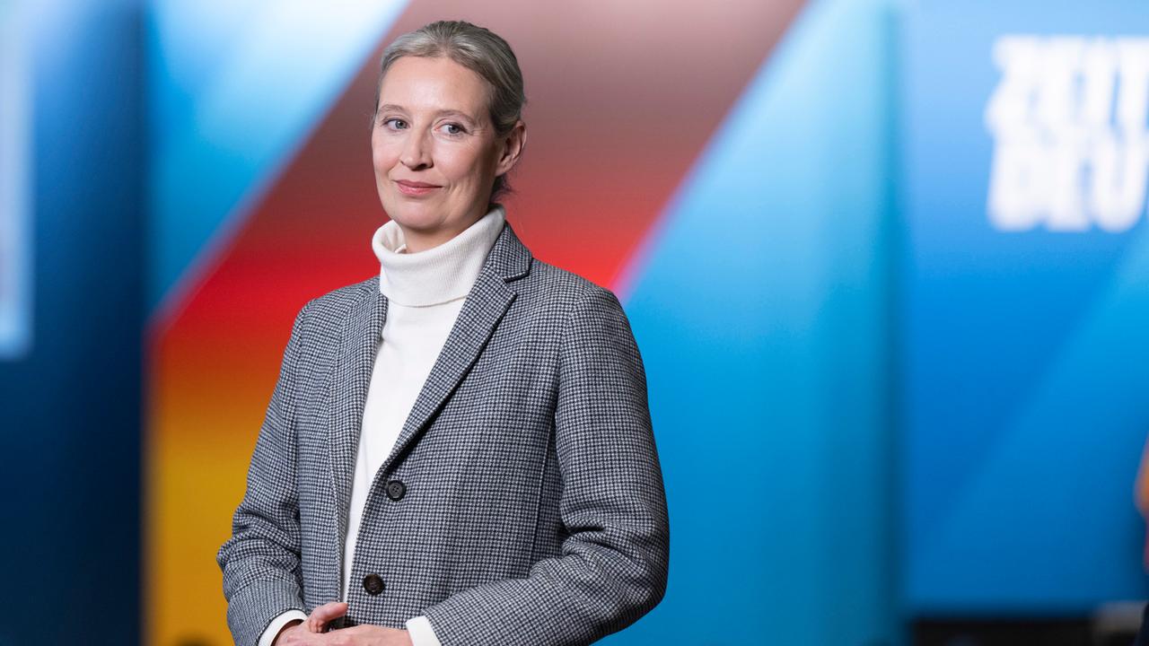 AfD-Chefin Weidel: Kritik an Energie-Politik und Windrädern