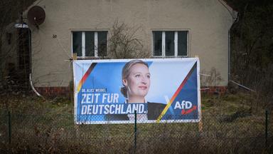 Weitere Details zum AfD-Spender aufgetaucht