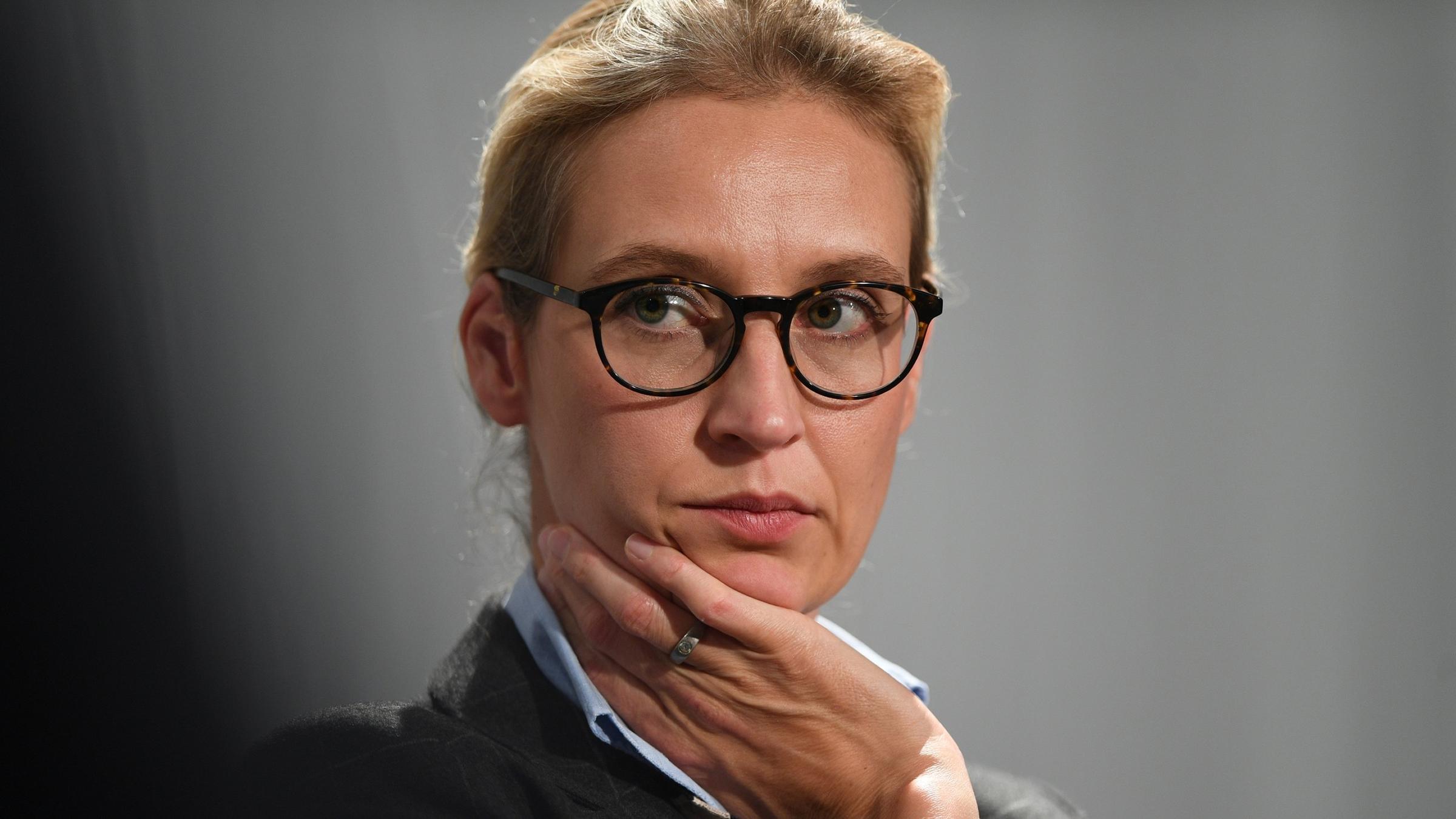 Neue Vorwurfe Im Fall Weidel Afd Scharmutzel Im Suden Zdfheute