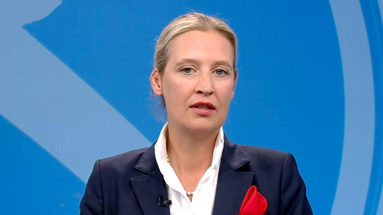 Alice Weidel - Aktuelle Nachrichten Und Hintergründe - ZDFheute