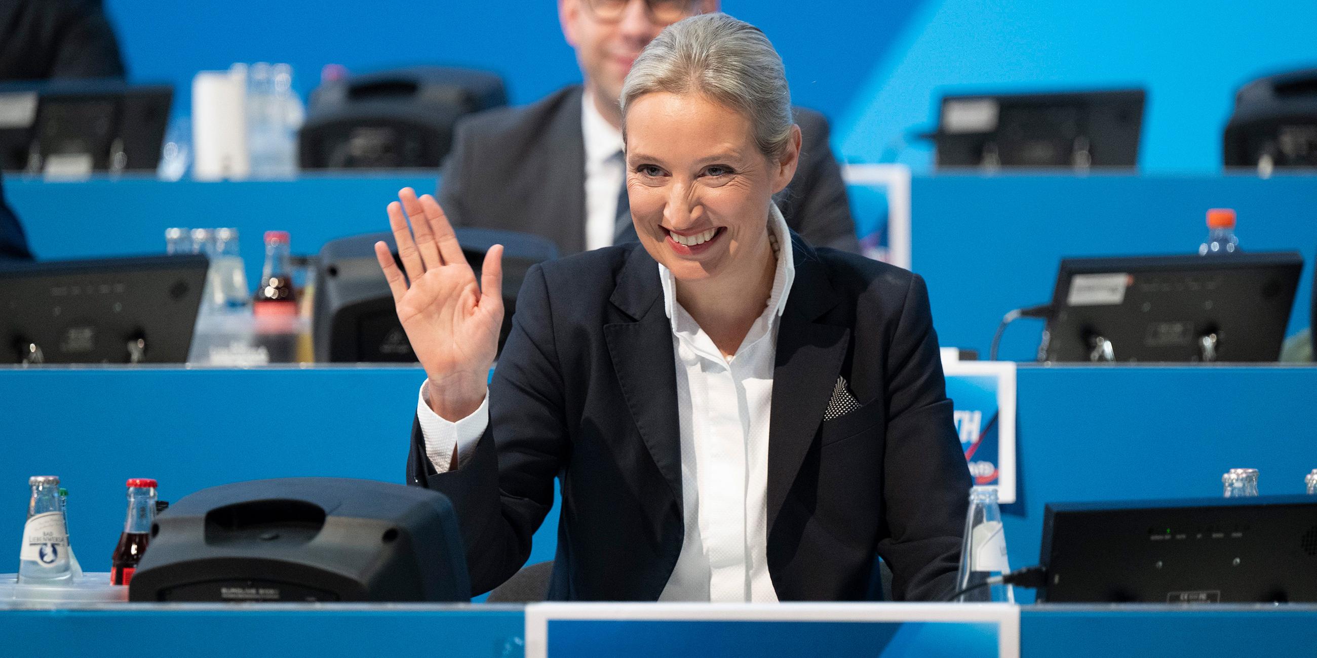 Alice Weidel