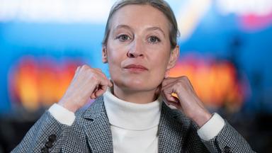 Fiel Weidel auf einen Hochstapler herein?