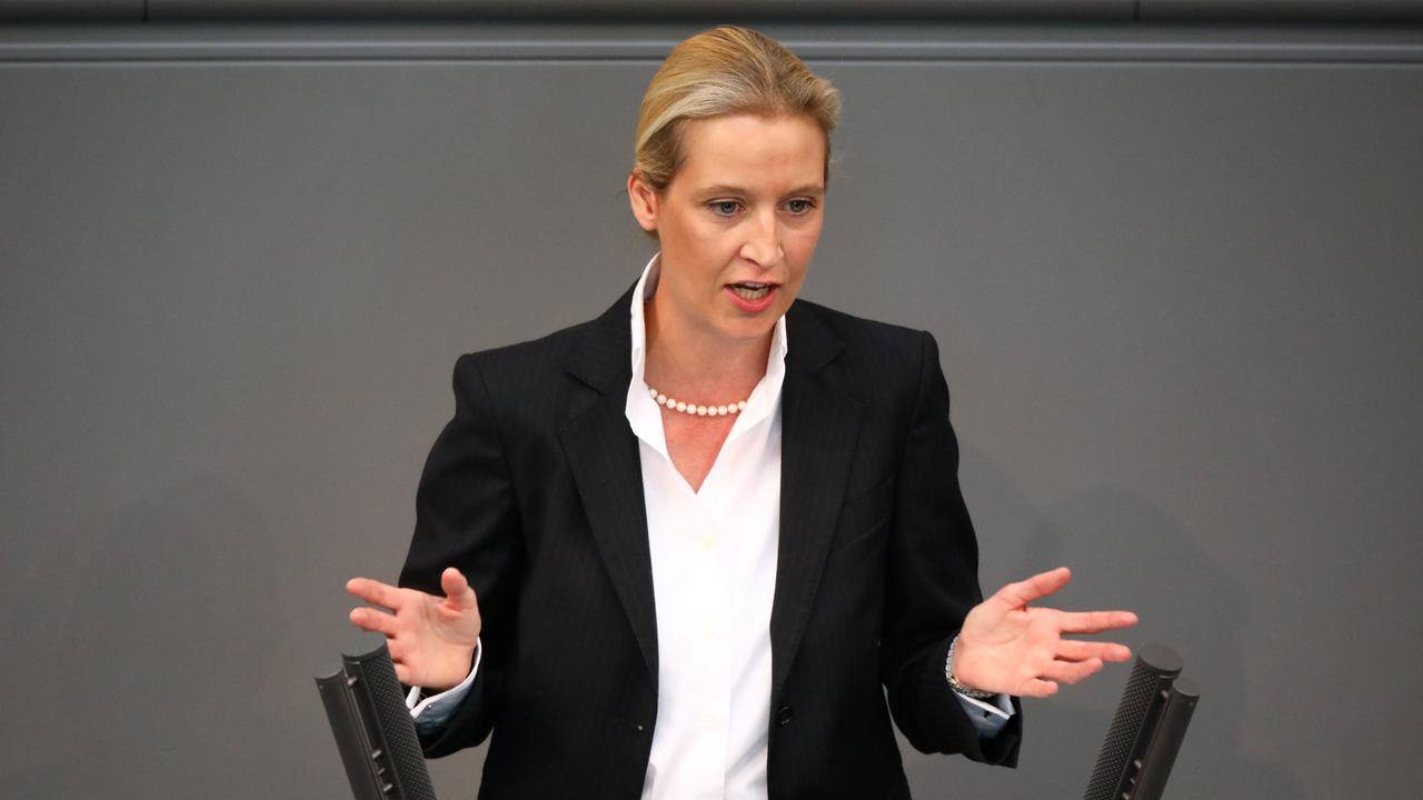 Alice Weidel (AfD) Im Bundestag: "Nichts Ist Gelöst" - ZDFheute