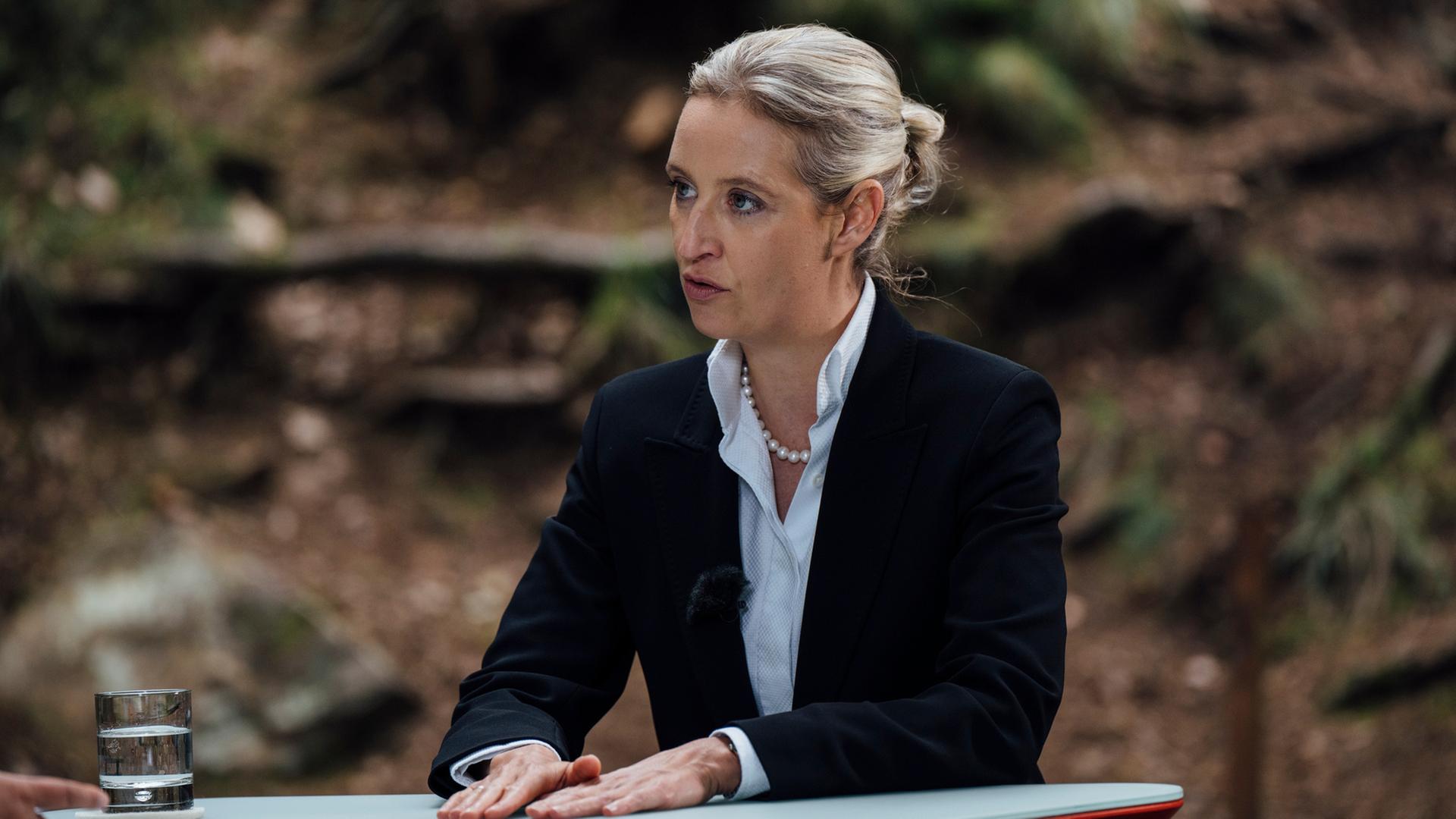 07.07.2024, Sachsen, Naundorf: Alice Weidel, Bundesvorsitzende der AfD, spricht beim ZDF-Sommerinterview in «Berlin direkt» in einem Wald am sogenannten "Geographischen Mittelpunkt Sachsens" mit Moderatorin Shakuntala Banerjee (nicht im Bild). 