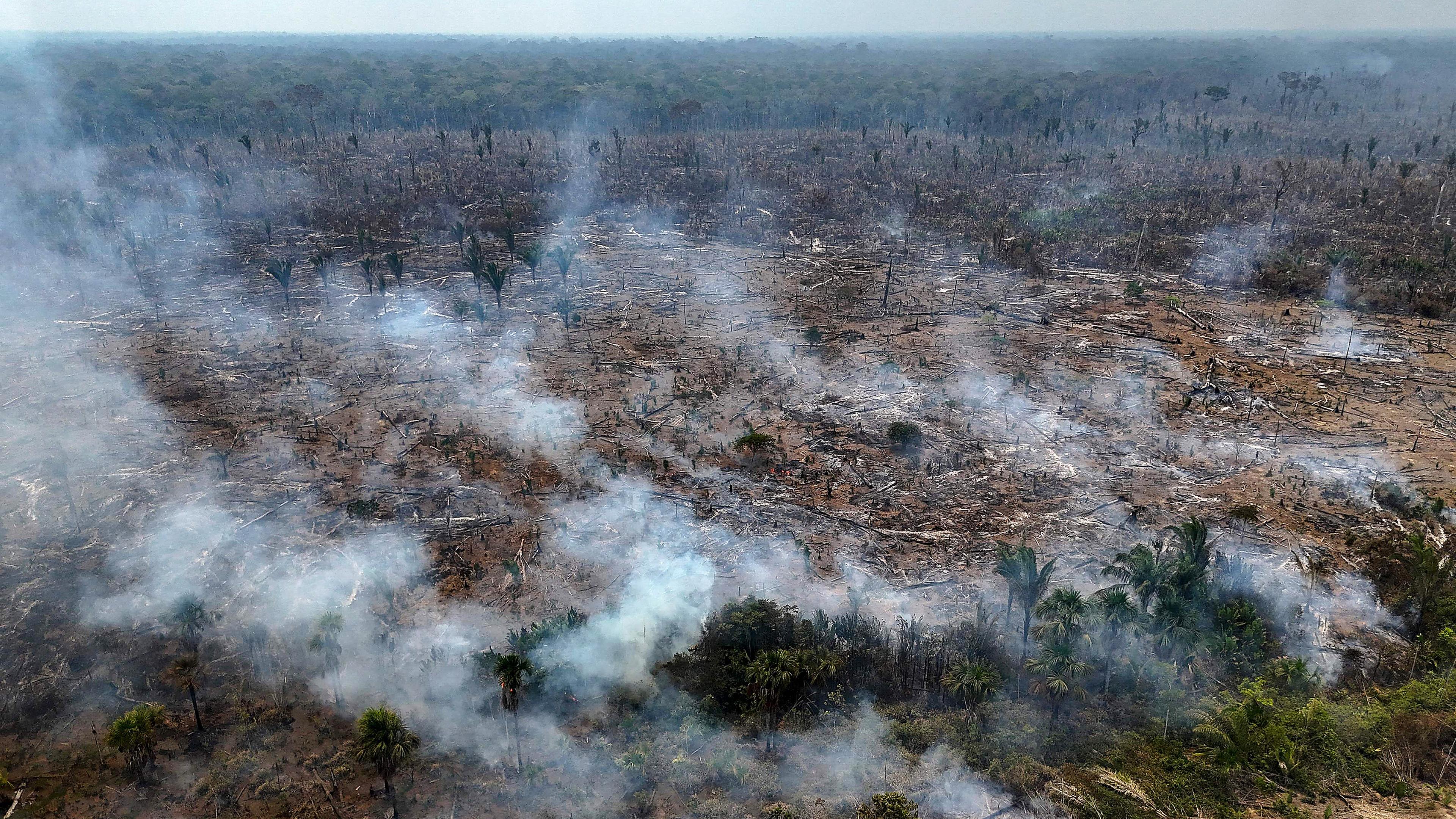 Illegale Brände im Amazonas-Regenwald.