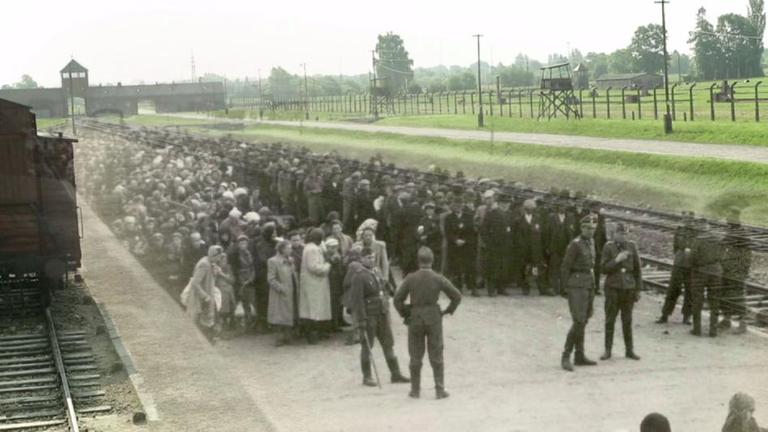 Auschwitz - Damals Und Heute - ZDFmediathek