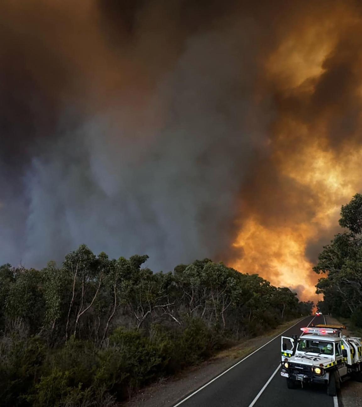 Australien Buschfeuer