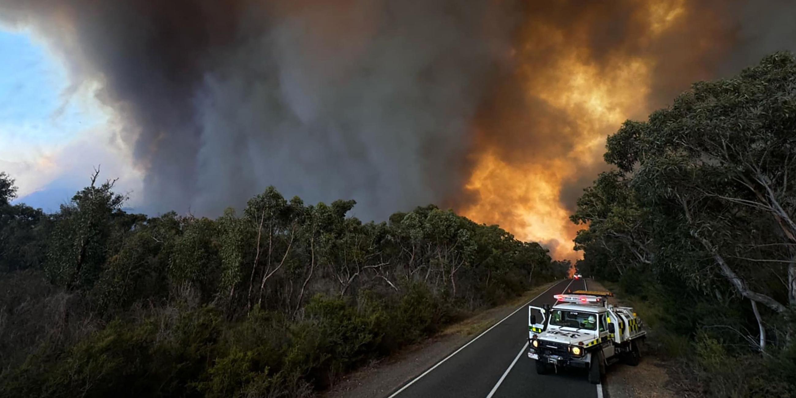 Australien Buschfeuer