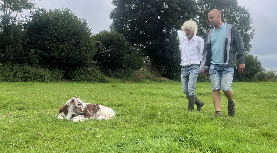 Jetziger Landwirt Remi Hardy und der Mann der neuen Landwirtin Corinne Beaujean auf einer wiese mit einem Rind.