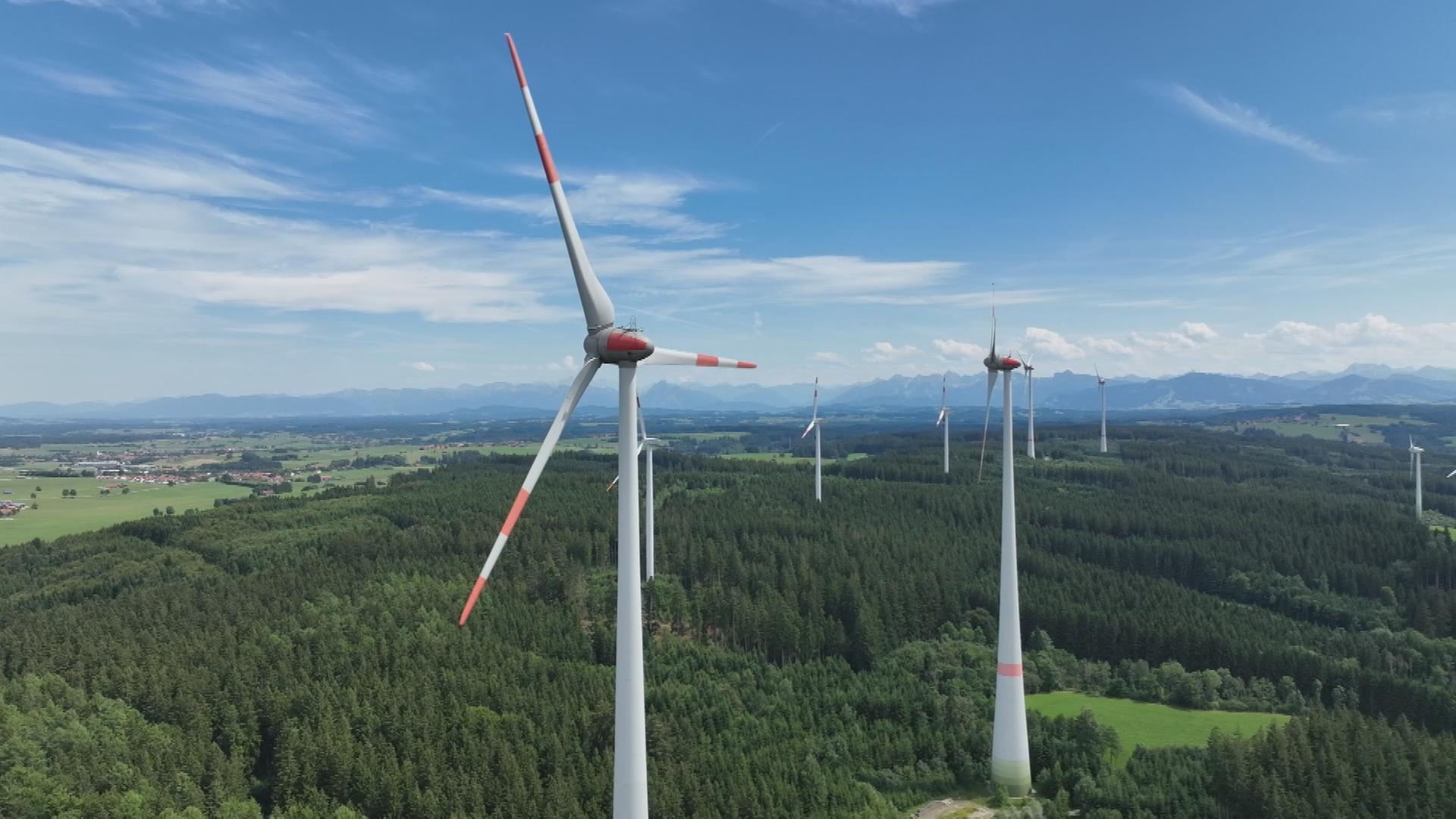 Windräder im Wald