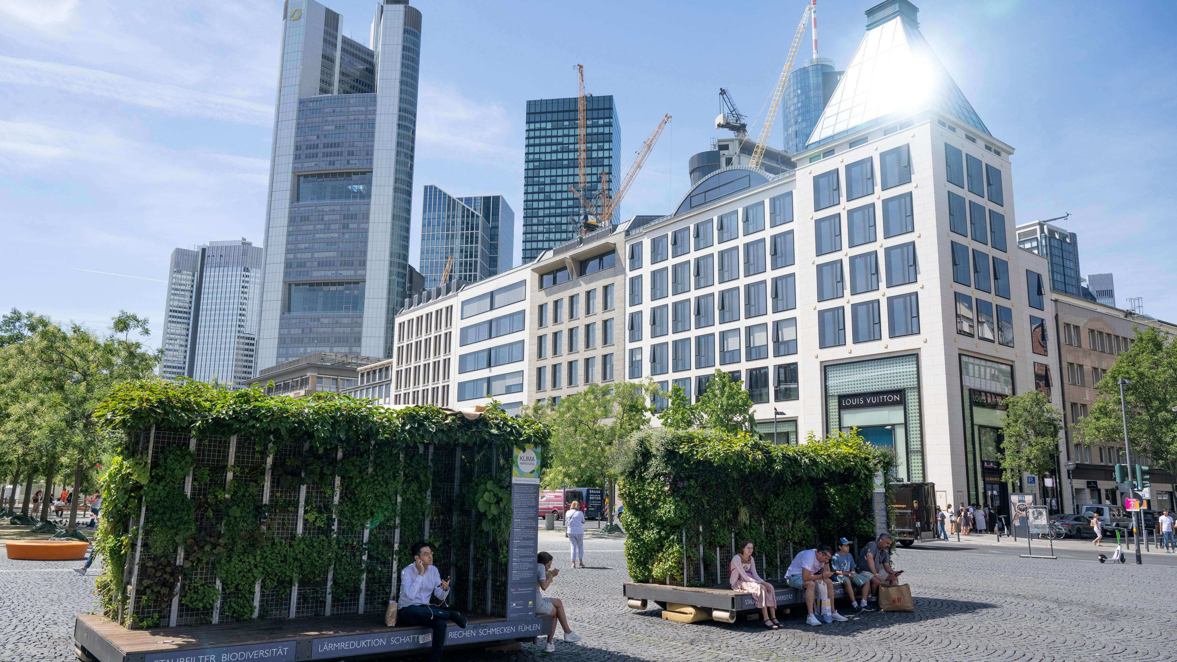 Hessen, Frankfurt/Main: "Mobile grüne Zimmer" heißen bepflanzte Container, in denen Passanten auf dem Großmarkt in der Innenstadt von Frankfurt einen Schattenplatz finden.