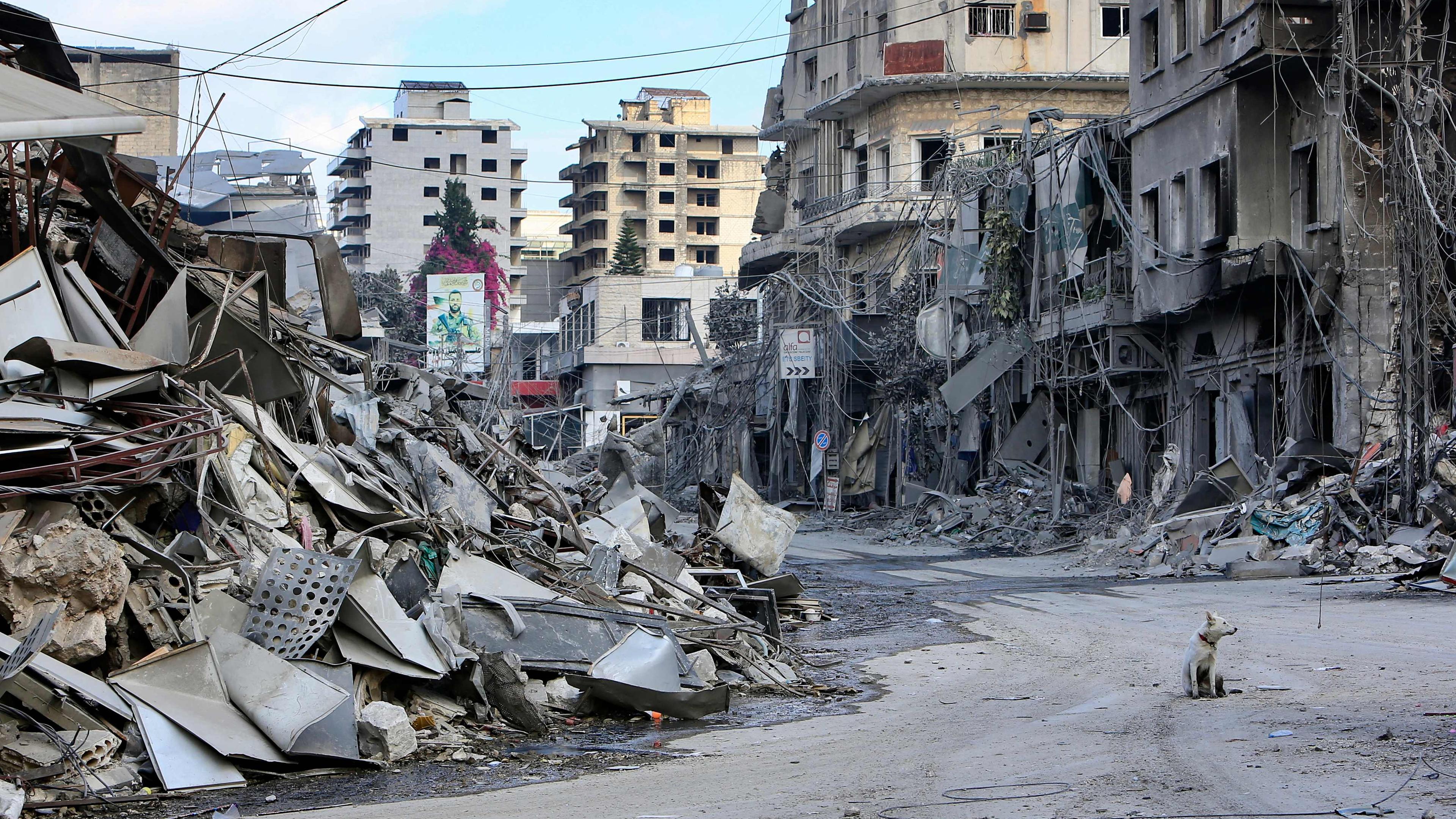 TOPSHOT - A dog sits amid the destruction a day after Israeli airstrikes that targeted the southern Lebanese city of Nabatieh on October 17, 2024. 